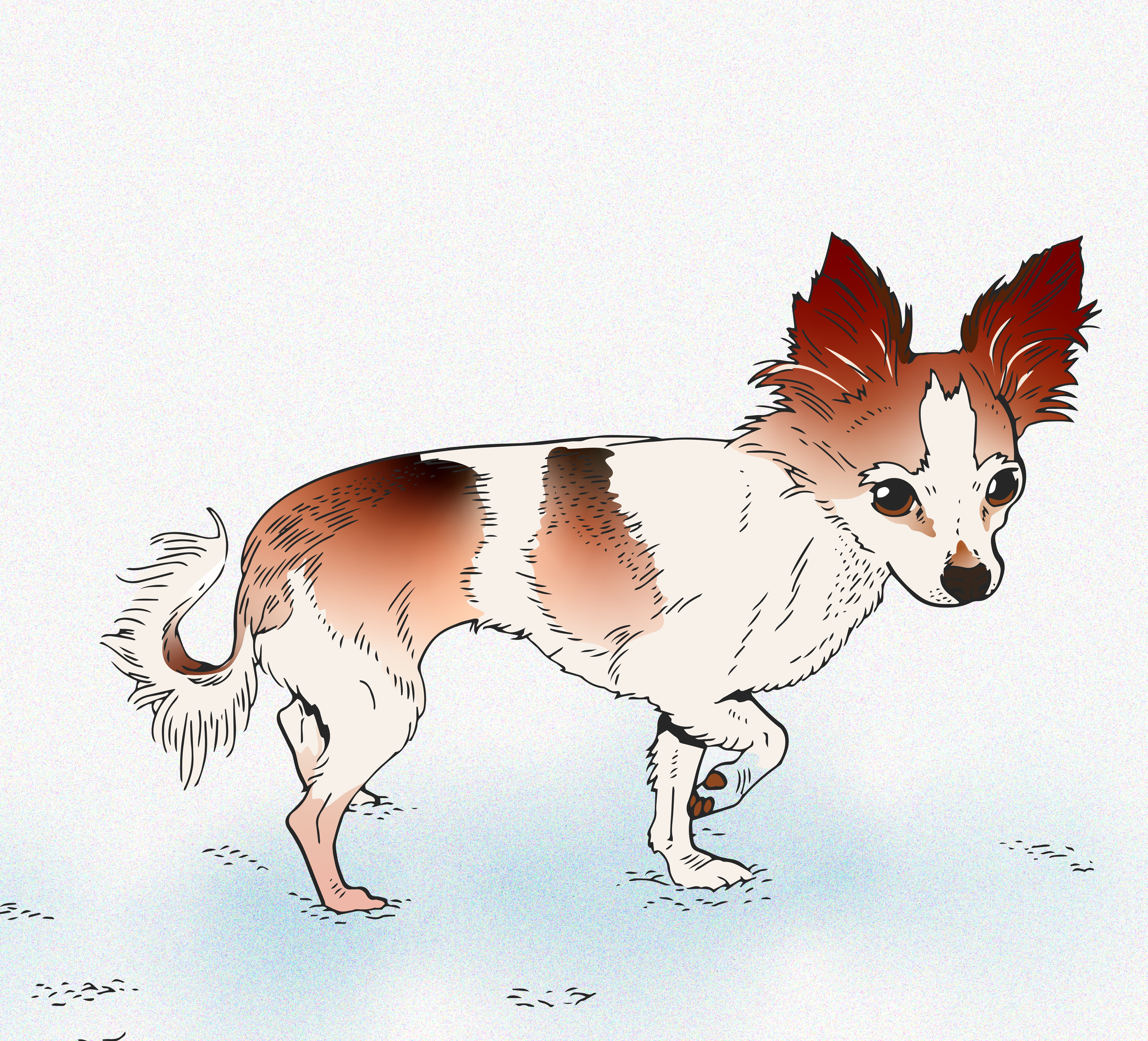 mendy whitney.png