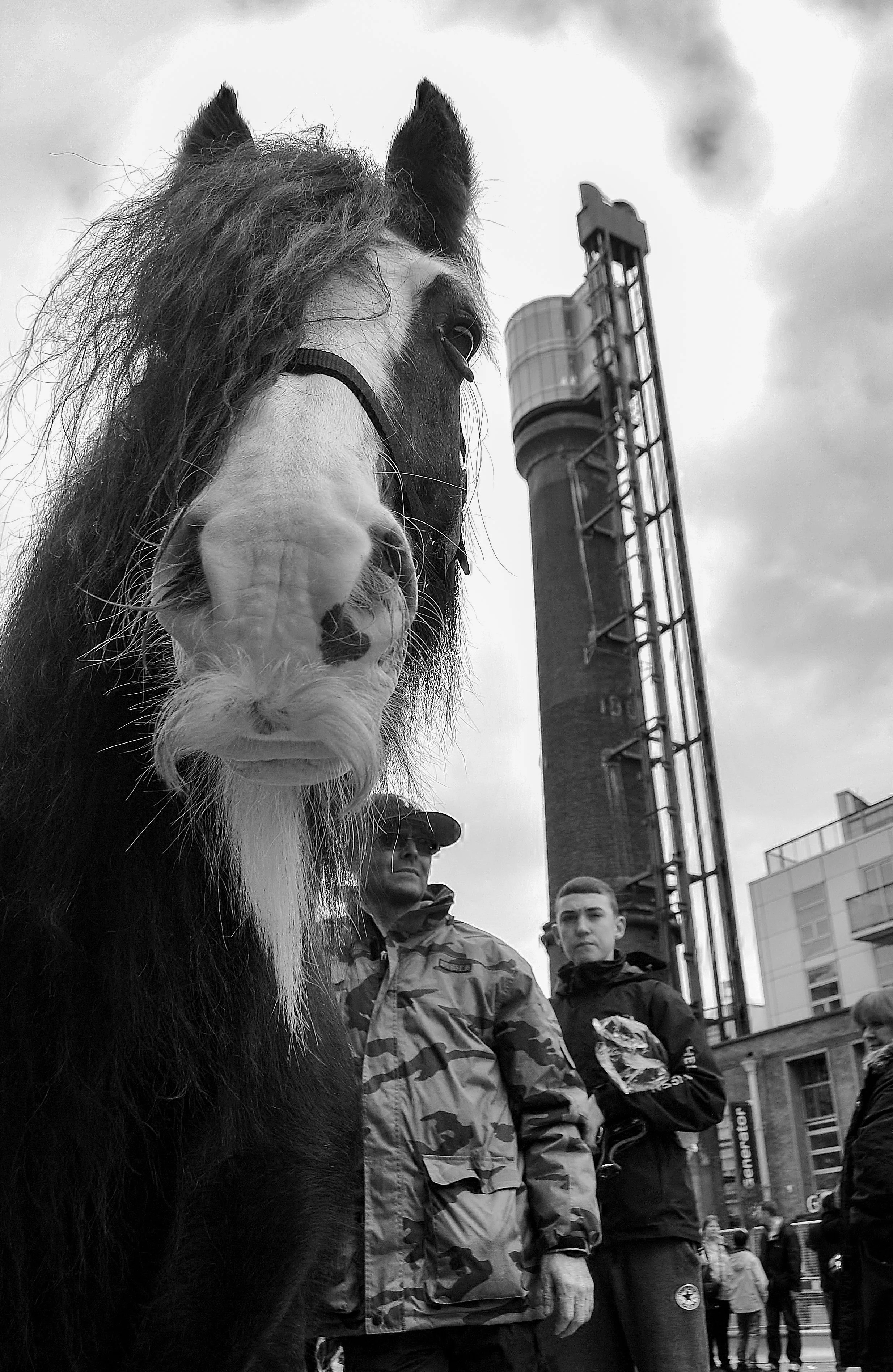 DSC_0102 2.jpg
