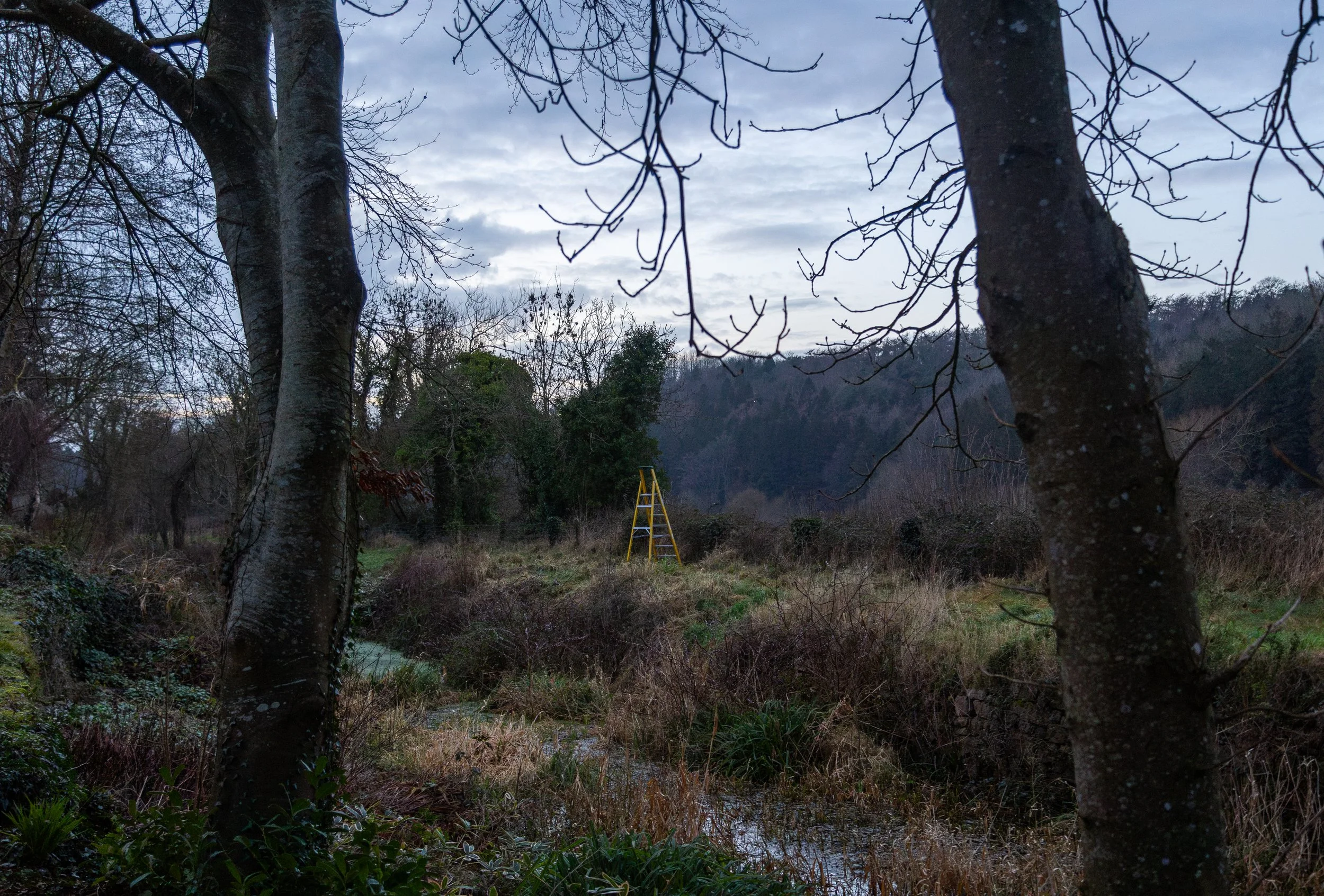 QT1A0602-Enhanced-NR.jpg