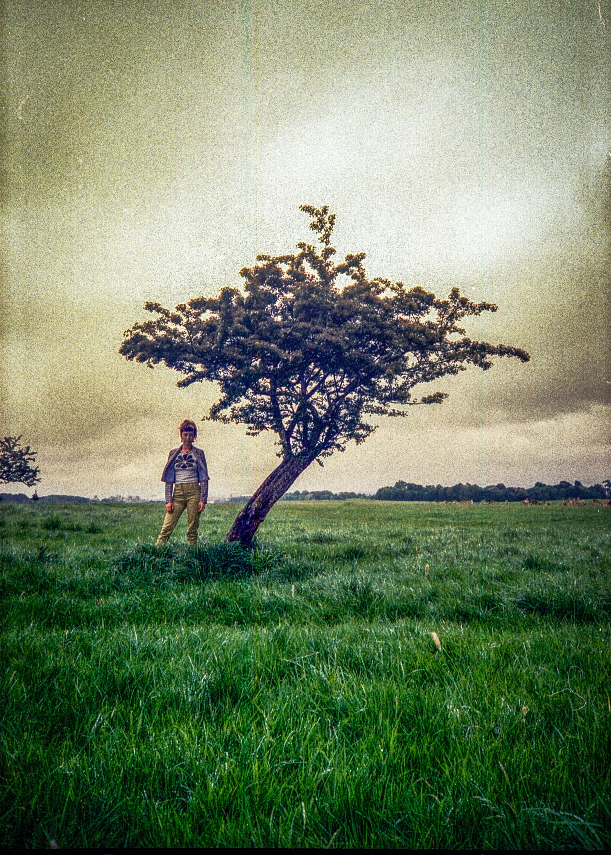 Image 5 (20) copy.jpg