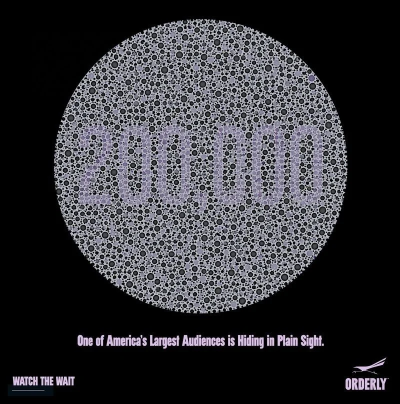 A circular visual composed of numerous small black and gray circles of varying sizes on a black background, with the number '200,000' visible within the circle. Text at the bottom states, 'One of America’s Largest Audiences is Hiding in Plain Sight,' and there is a logo with a fish and the word 'ORDERLY' at the bottom right.