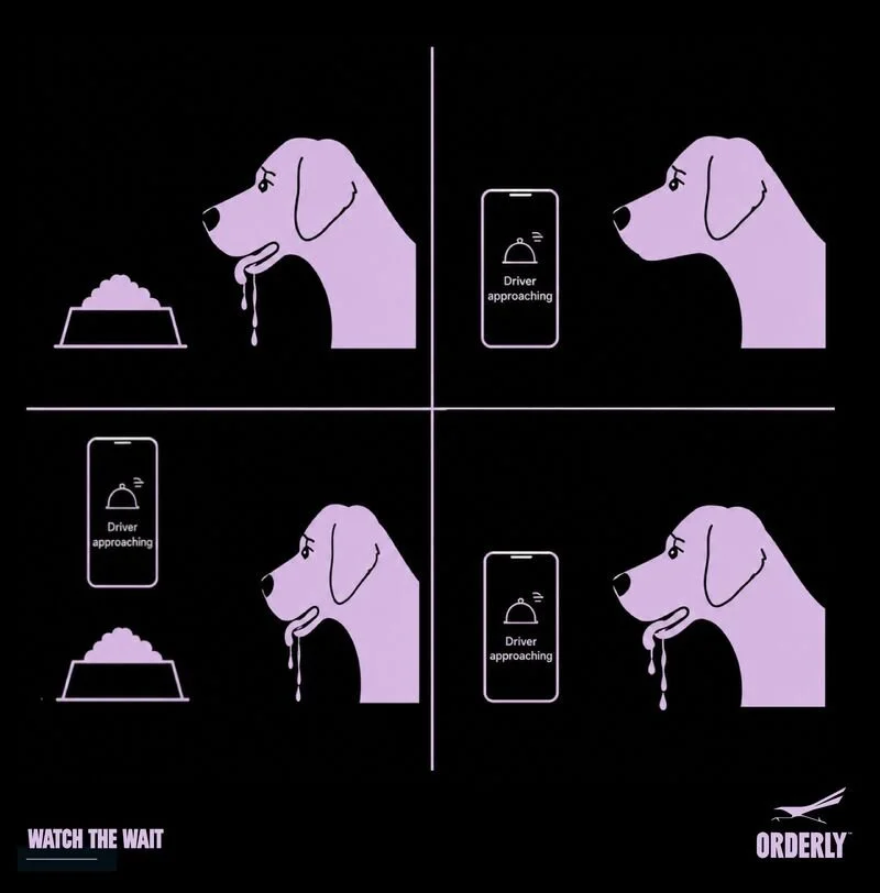 A four-panel graphic showing a dog drooling near its food bowl, with the dog looking at a smartphone warning of an approaching driver. The first panel has the dog by its food bowl, the second panel shows the phone with a warning, the third panel shows the dog looking at the phone, and the fourth panel depicts the dog drooling again with a warning on the phone screen. The bottom left has the text "WATCH THE WAIT" and the bottom right has the logo and text "ORDERLY".