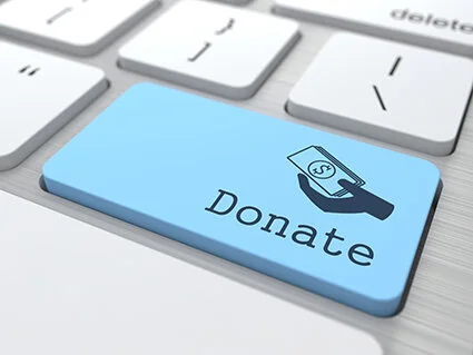 DONATE NOW (online)