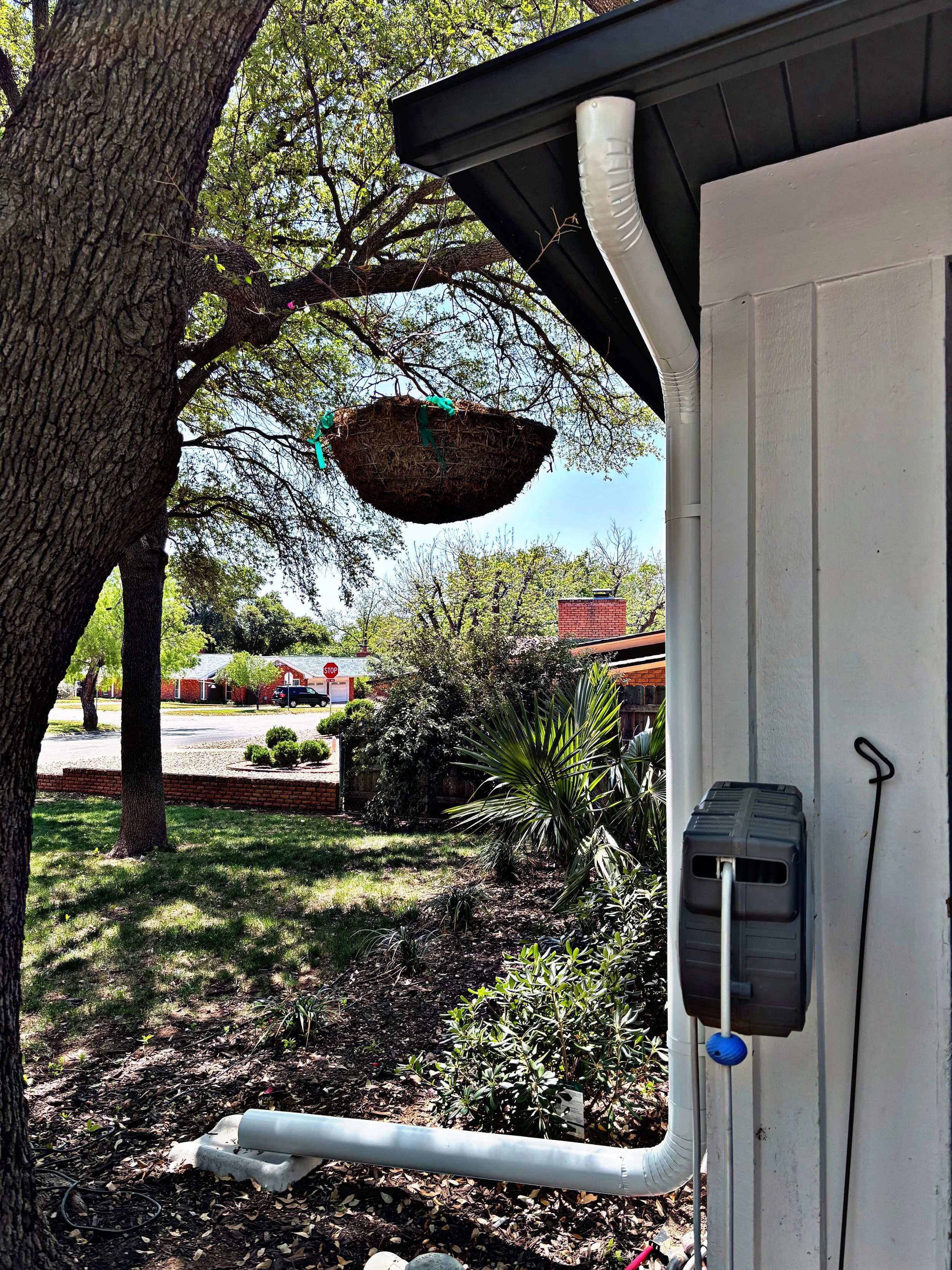 View of a tree and a construction area outside a house, showing a white debris disposal pipe connected to a wall vent, with a lush yard and residential street in the background.