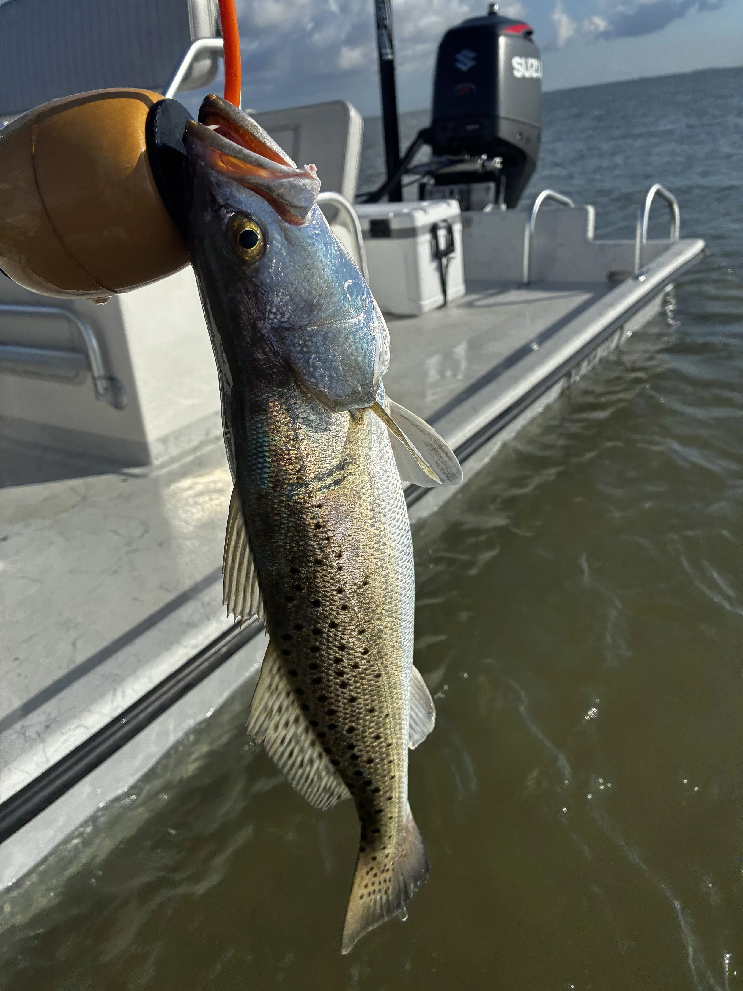 A fish caught on a fishing line is hanging over a boat with an outboard motor, water in the background, and cloudy sky.