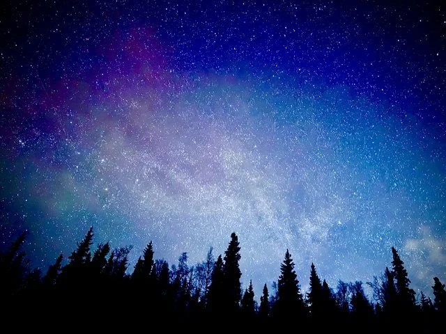 Night sky filled with stars above dark silhouette of pine trees.