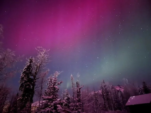 Night sky illuminated with the northern lights, displaying shades of purple and green, over snow-covered trees and a small building.