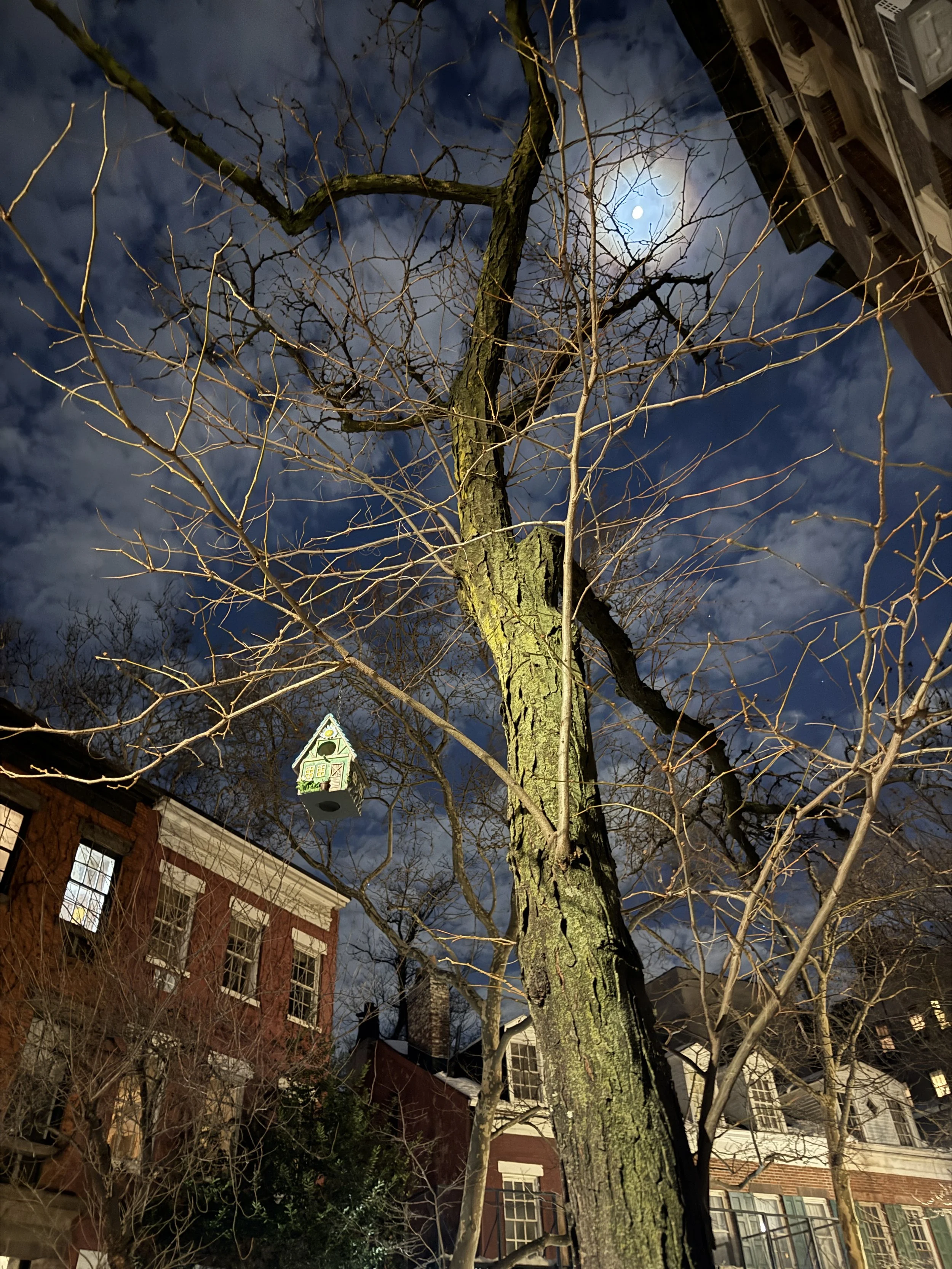 Nighttime view of a leafless tree with a full moon and clouds in the background, with buildings and a birdhouse hanging on the tree