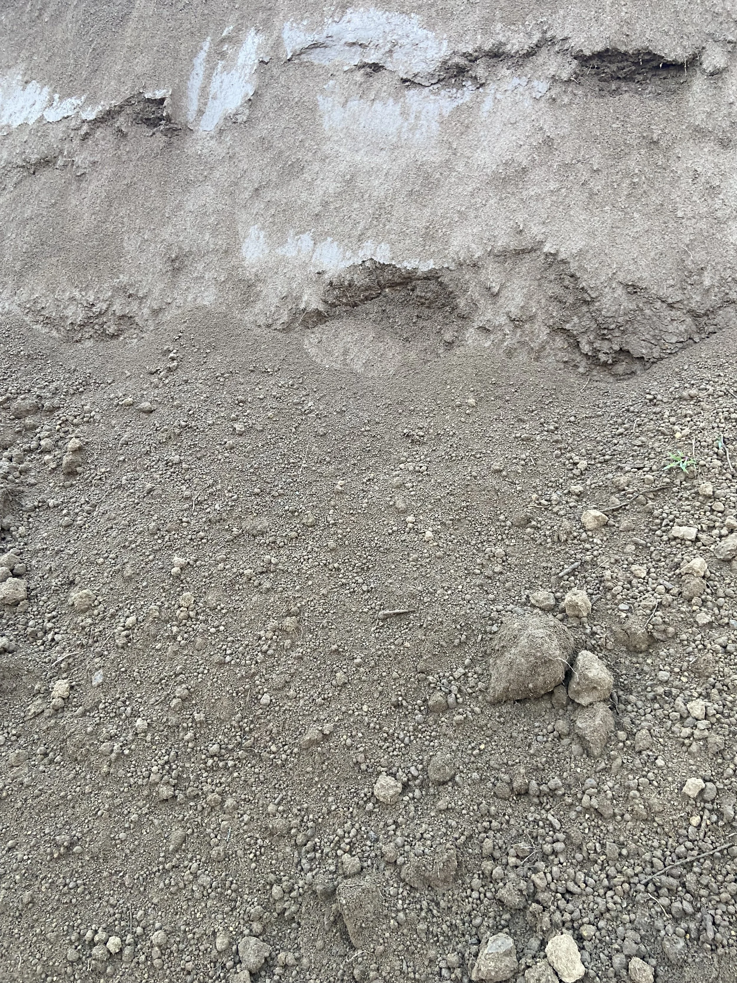 ¾" Screened Loam