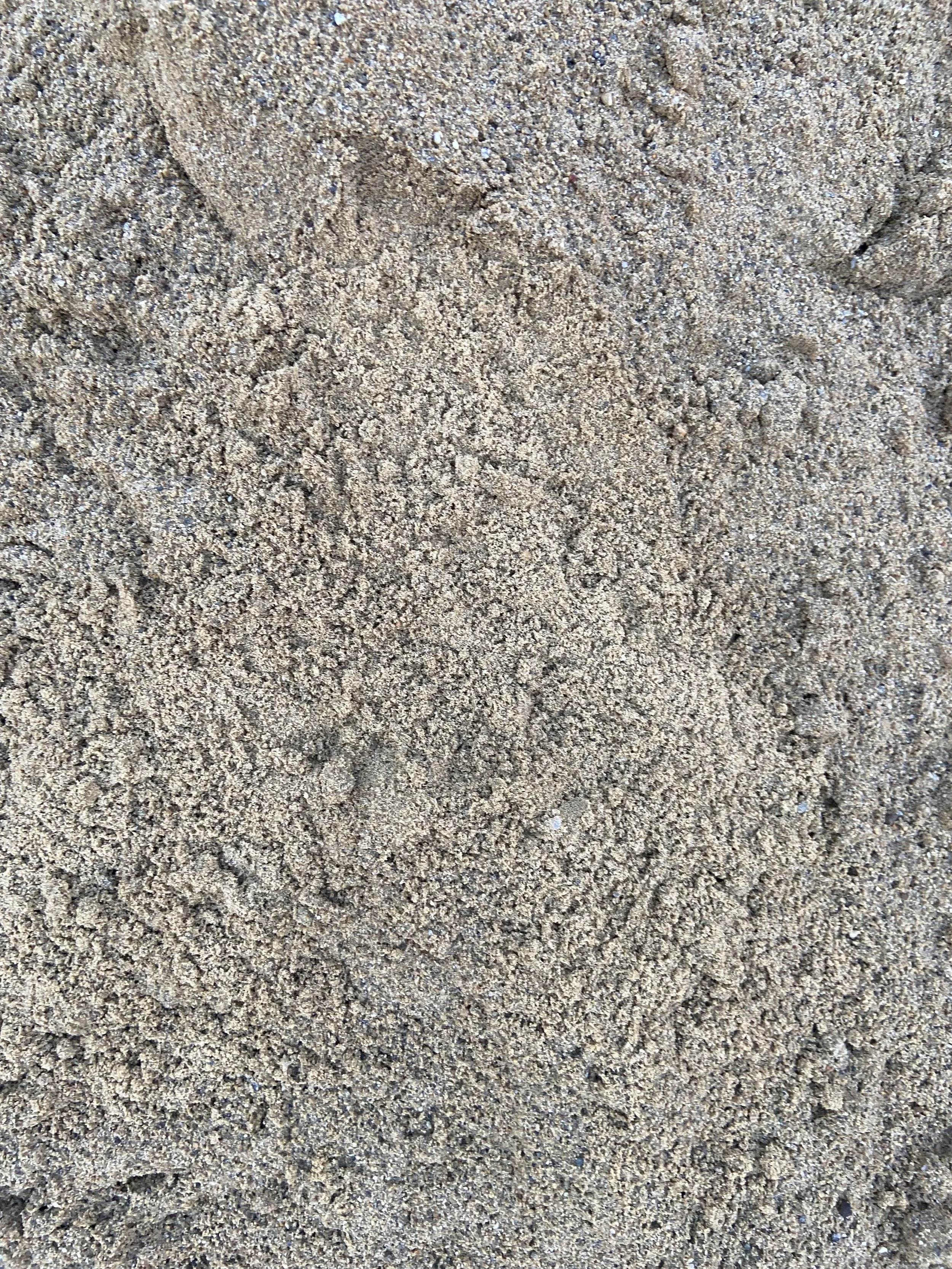 Screened Sand