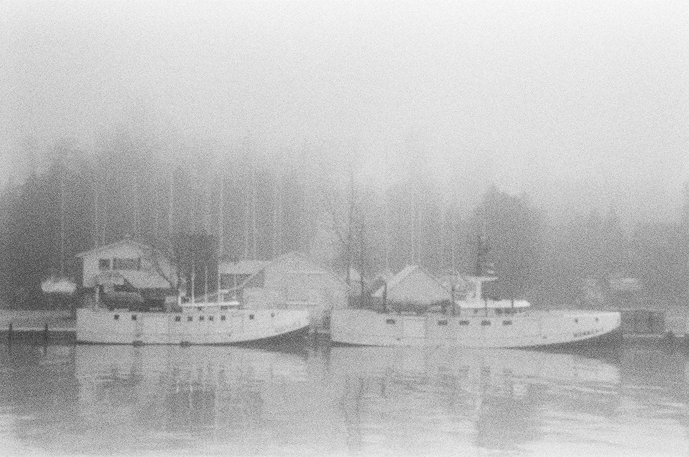 Morning Fog 11 x 17 Limited Edition Photography