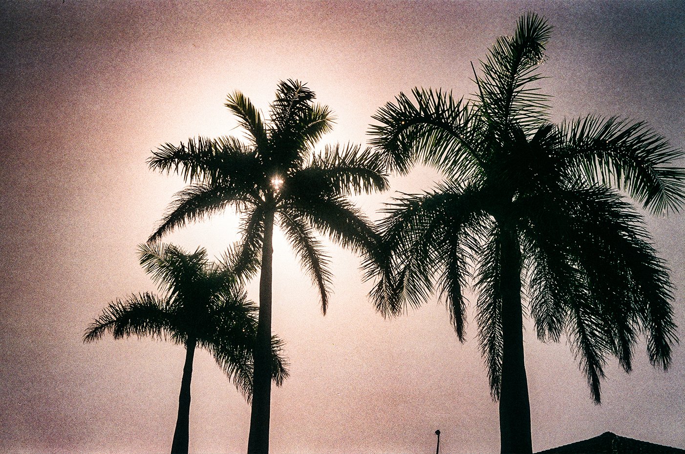 untitled-13.jpg