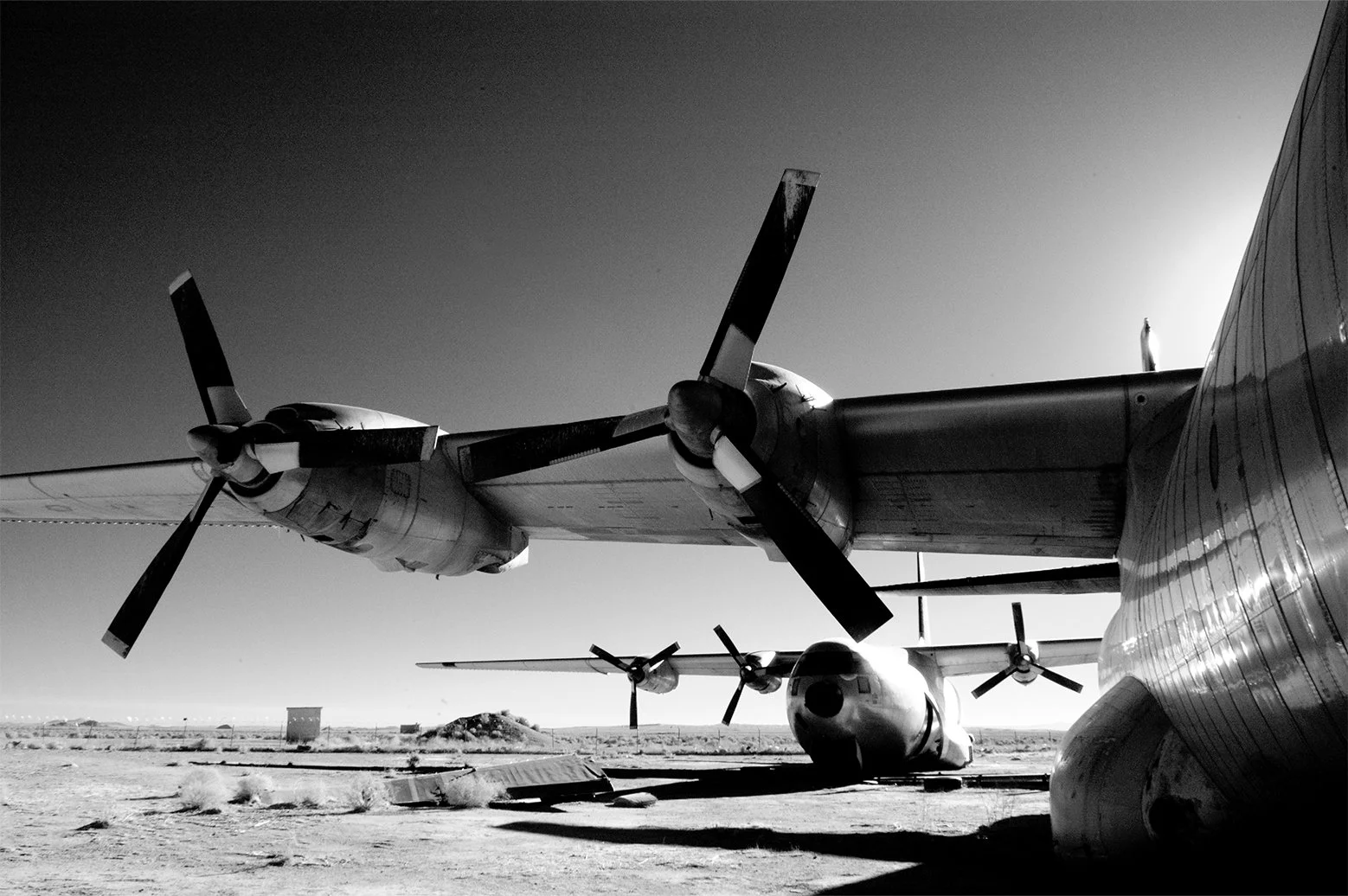 Mojave-Desert-1-(1).jpg