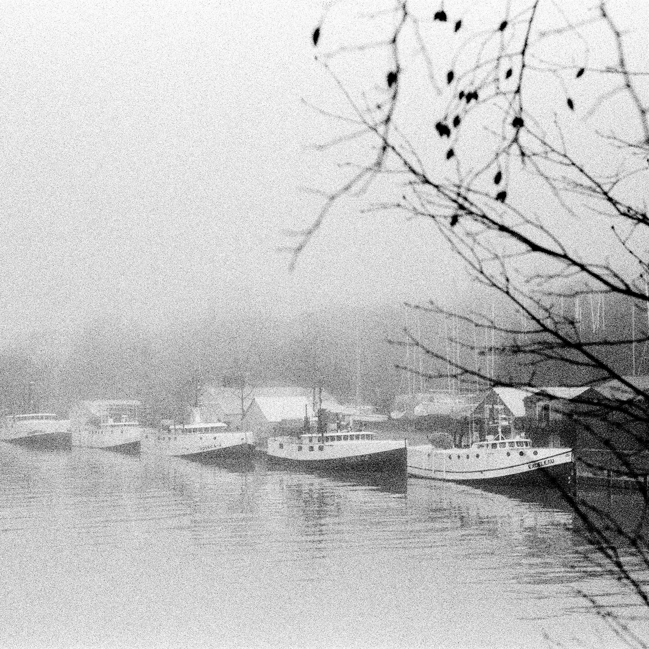 Morning Fog 12” x 12” Limited Edition Photography

Produced on matte Canson Rag Photographique

