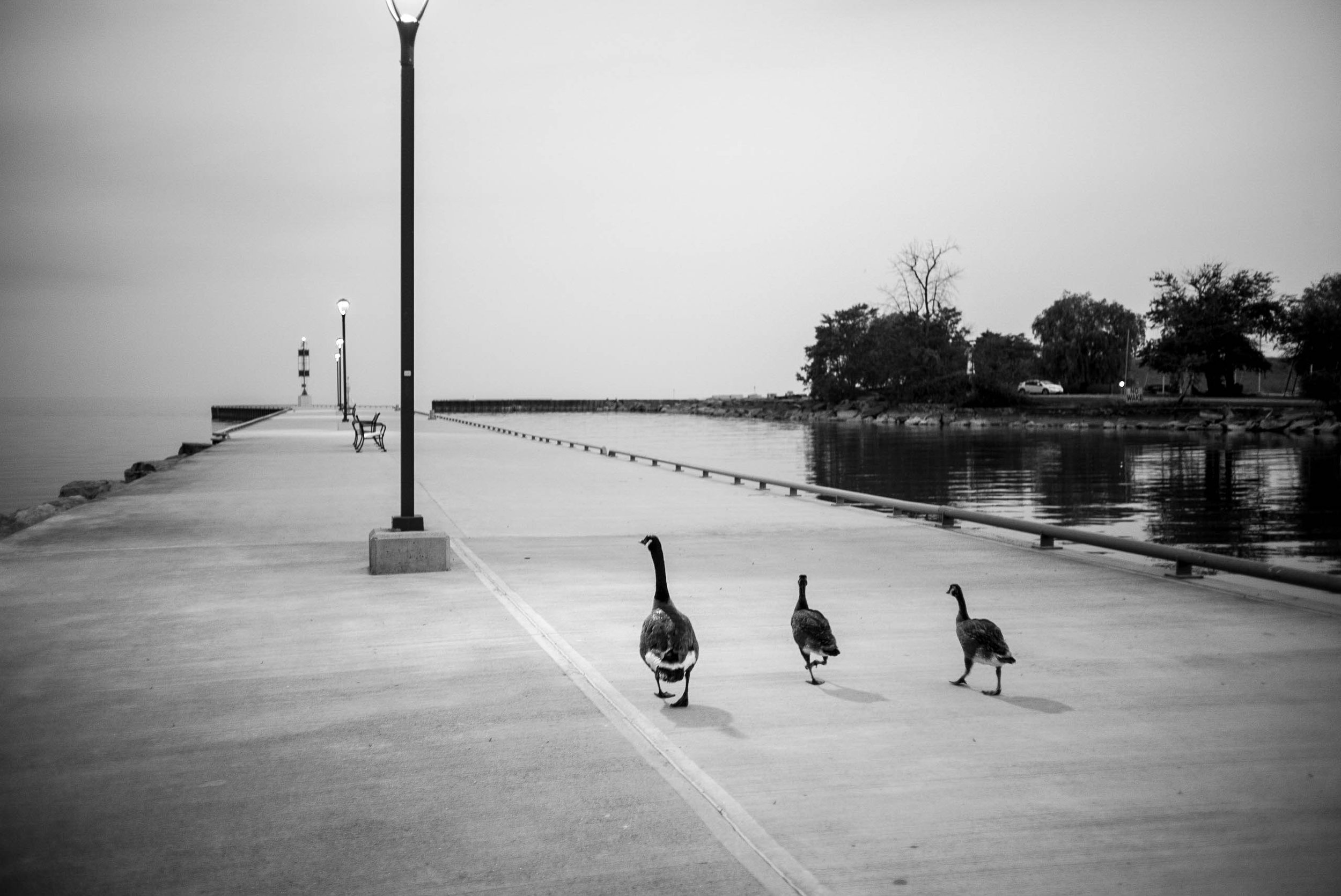 Morning Walk on the Pier 
11” x 17” Limited Edition Photography
Produced on matte Canson Rag Photographique


