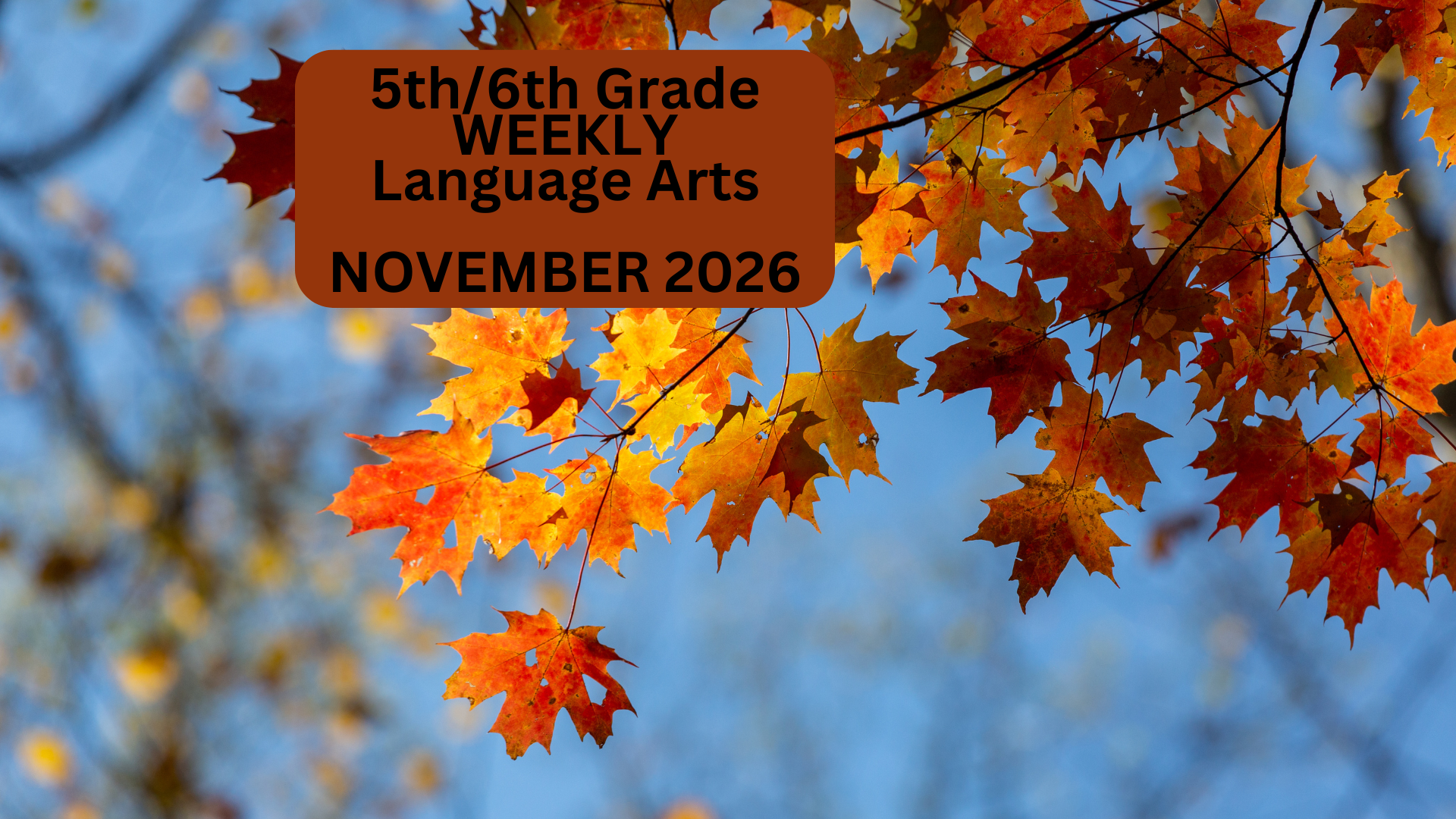 5th/6th Grade WEEKLY Course: November 2026
