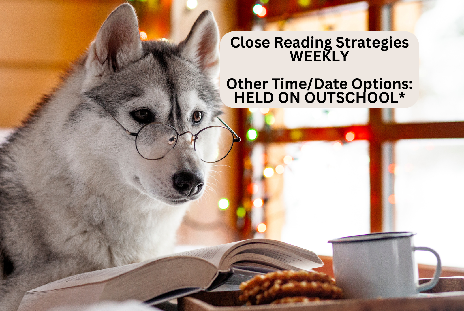 A Siberian Husky dog wearing glasses looking at an open book on a table with a tray of cookies and a mug. In the background, blurred colorful holiday lights and windows.