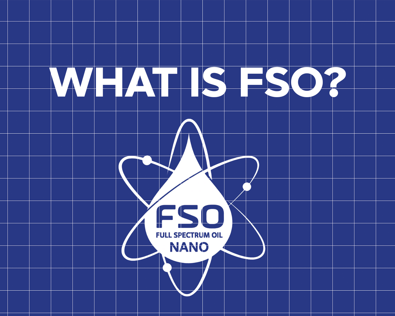 whats fso slide 1350.png