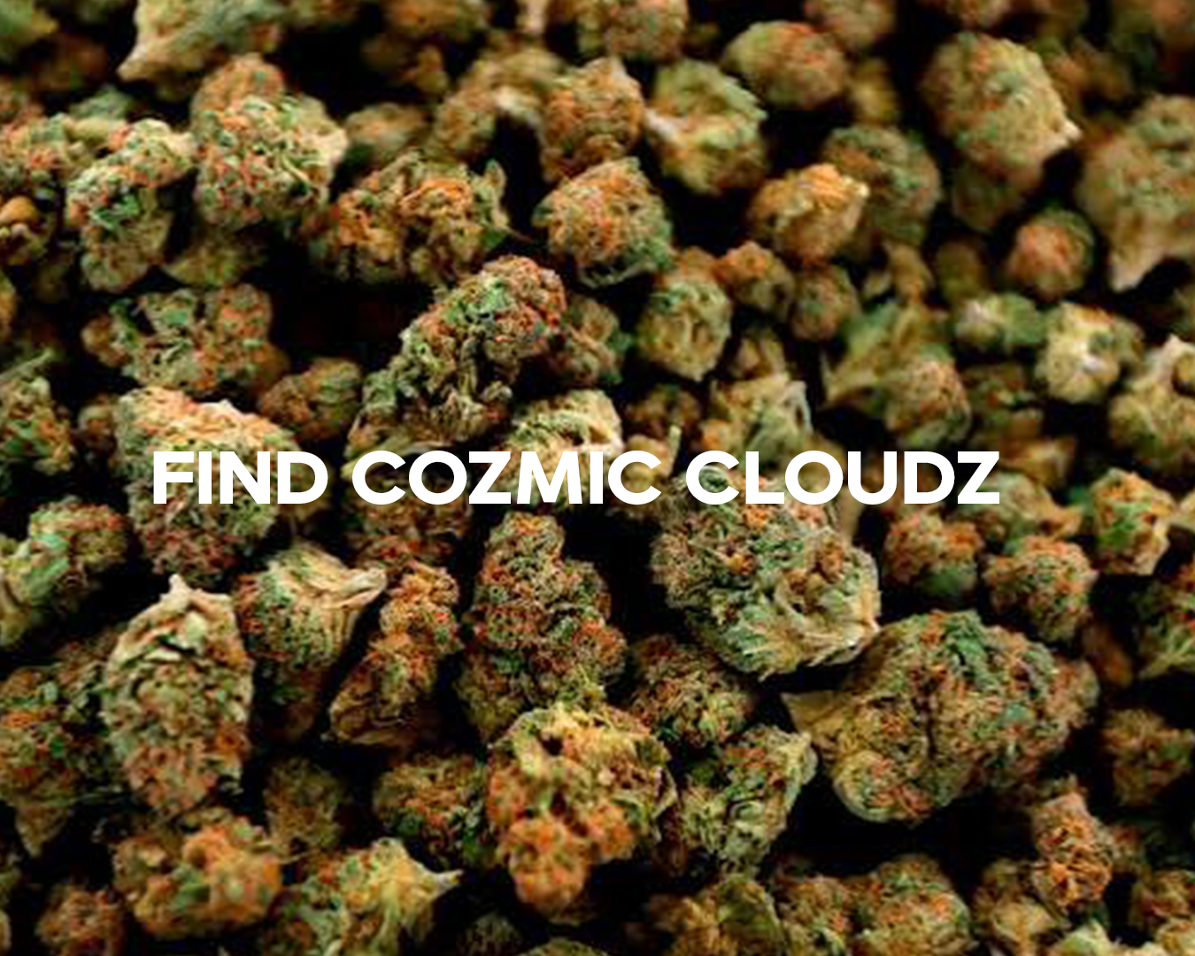 FIND CC 1350.png