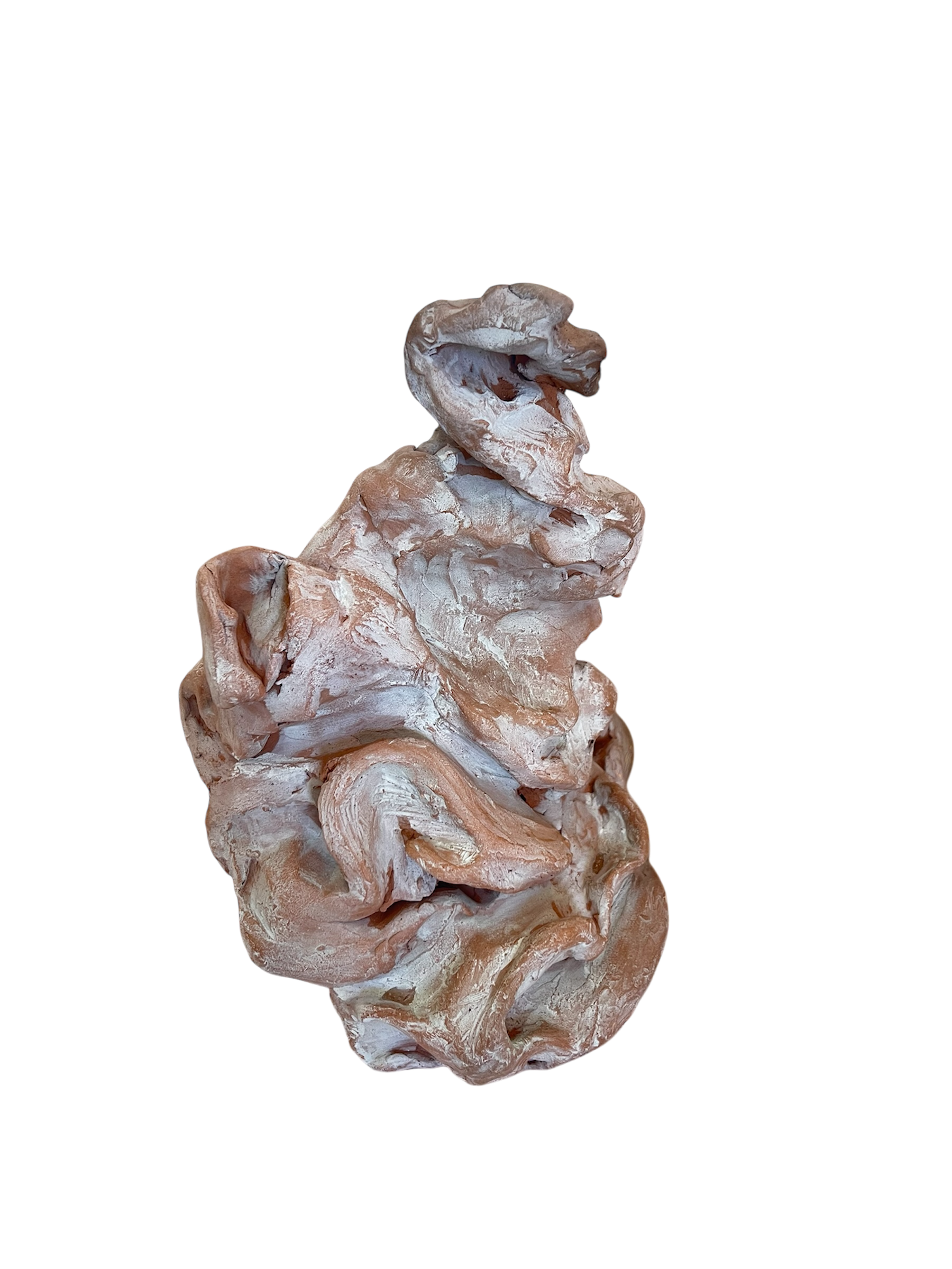 Photoroom_20260114_141457.PNG