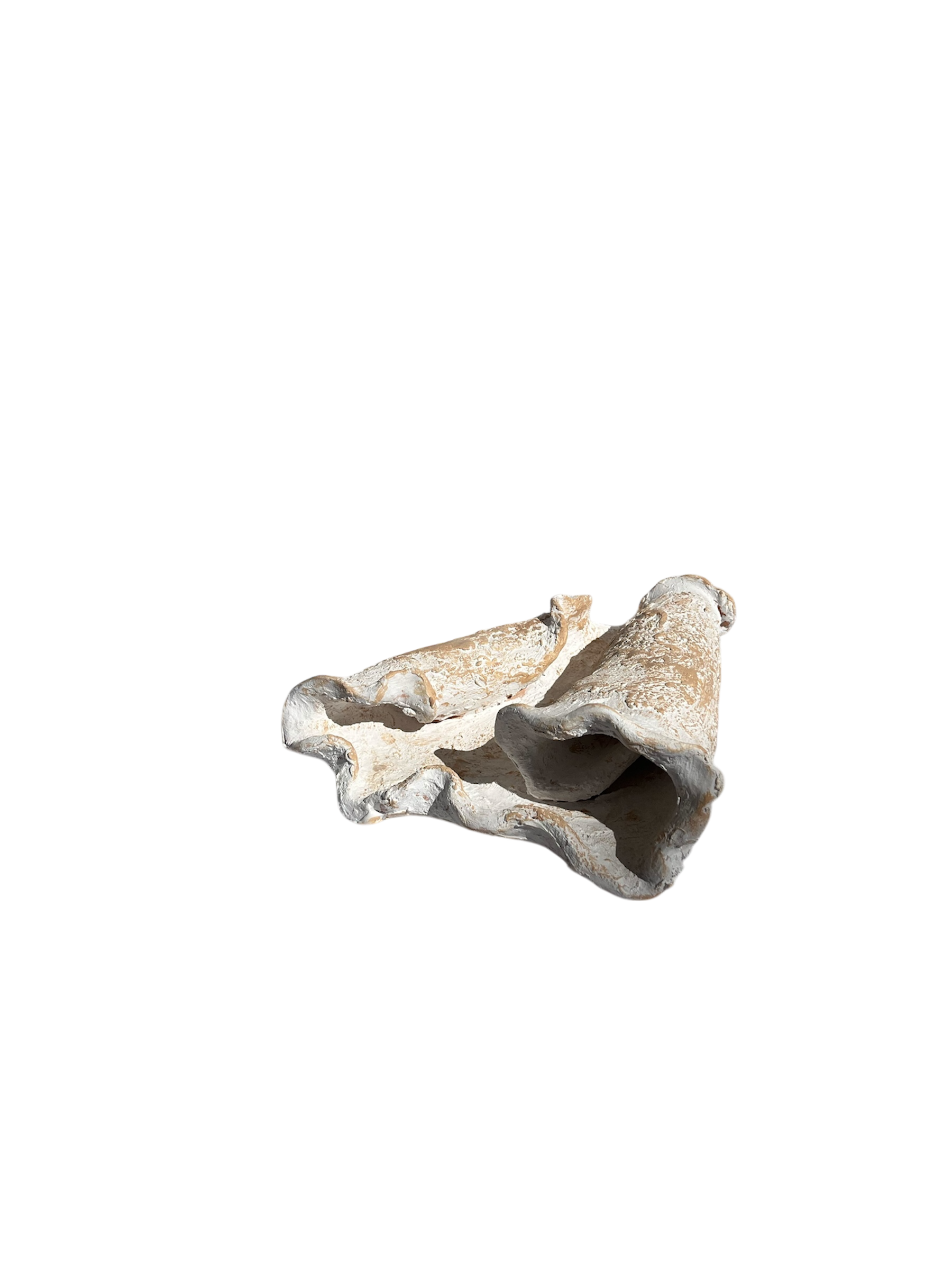 Photoroom_20260114_142432.PNG