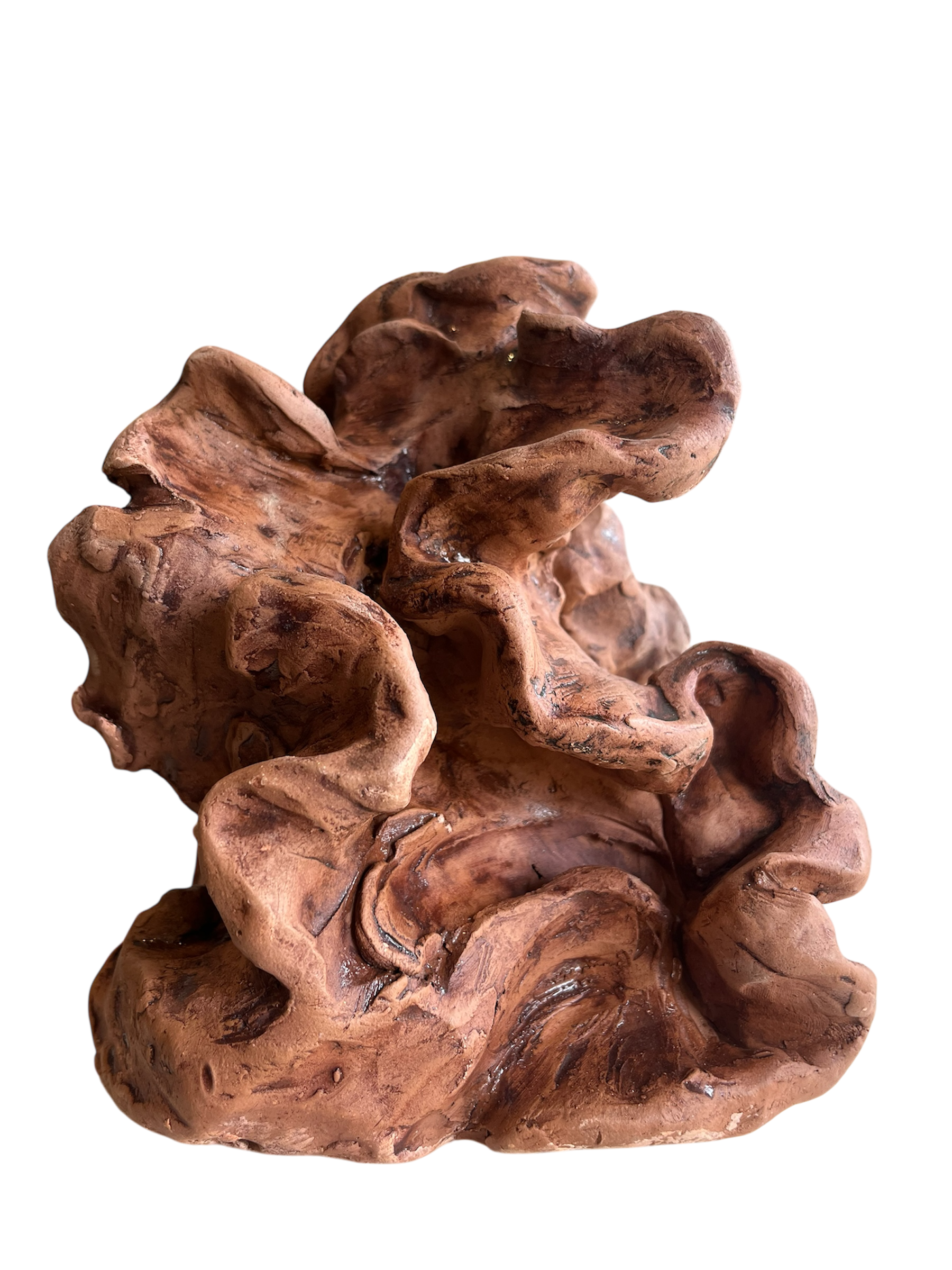 Photoroom_20260114_143036.PNG