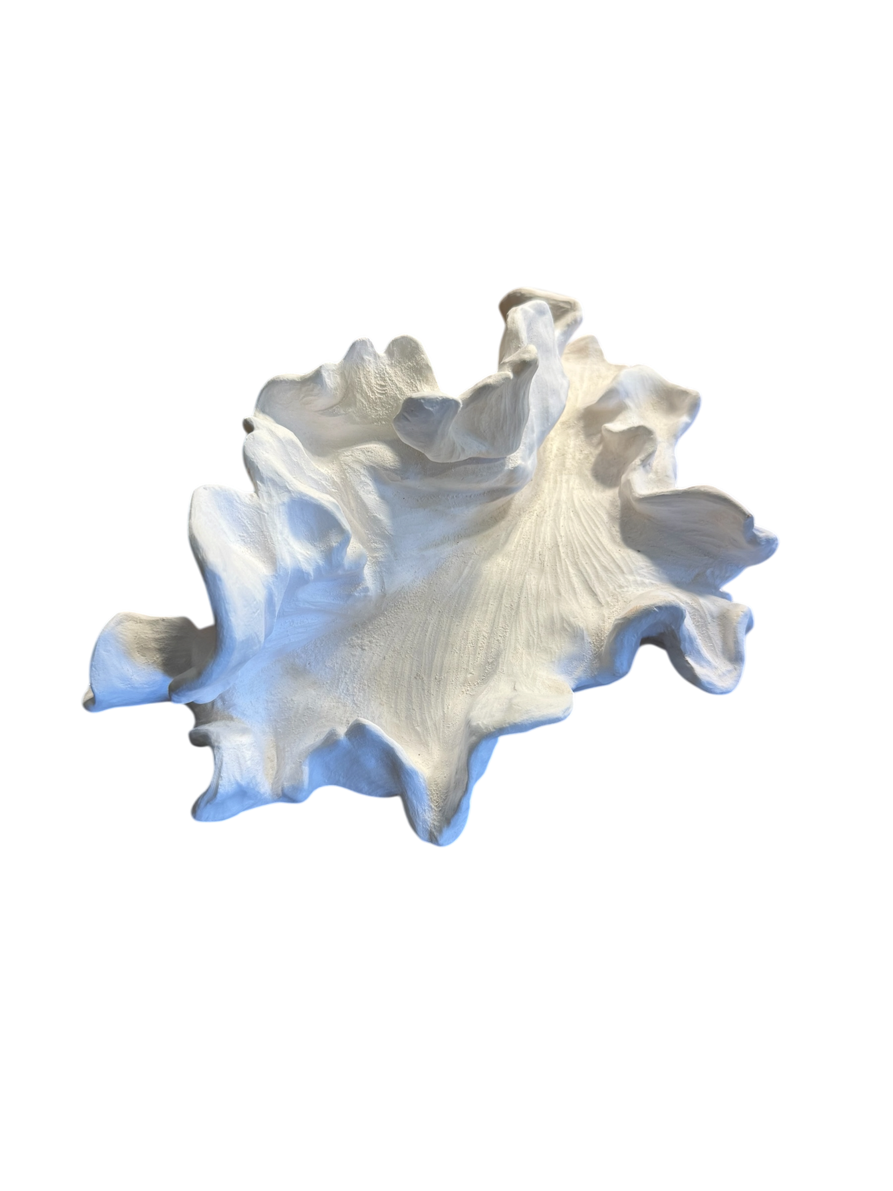 Photoroom_20260416_174726.png