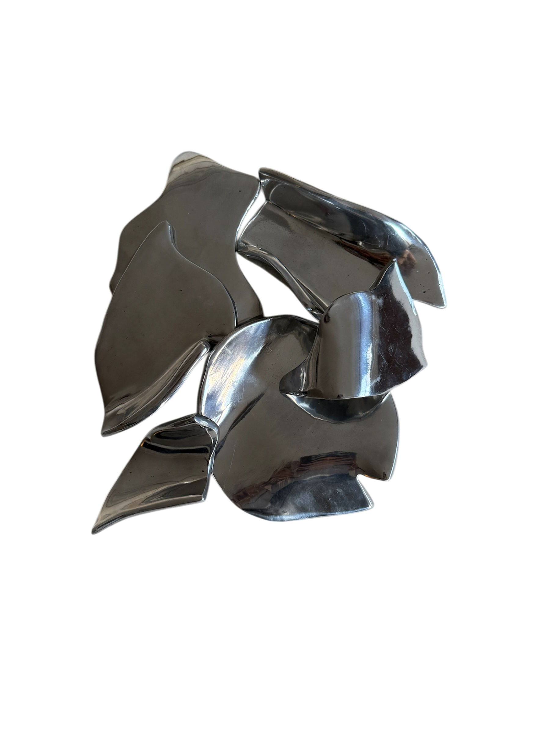 Photoroom_20260416_173255.PNG