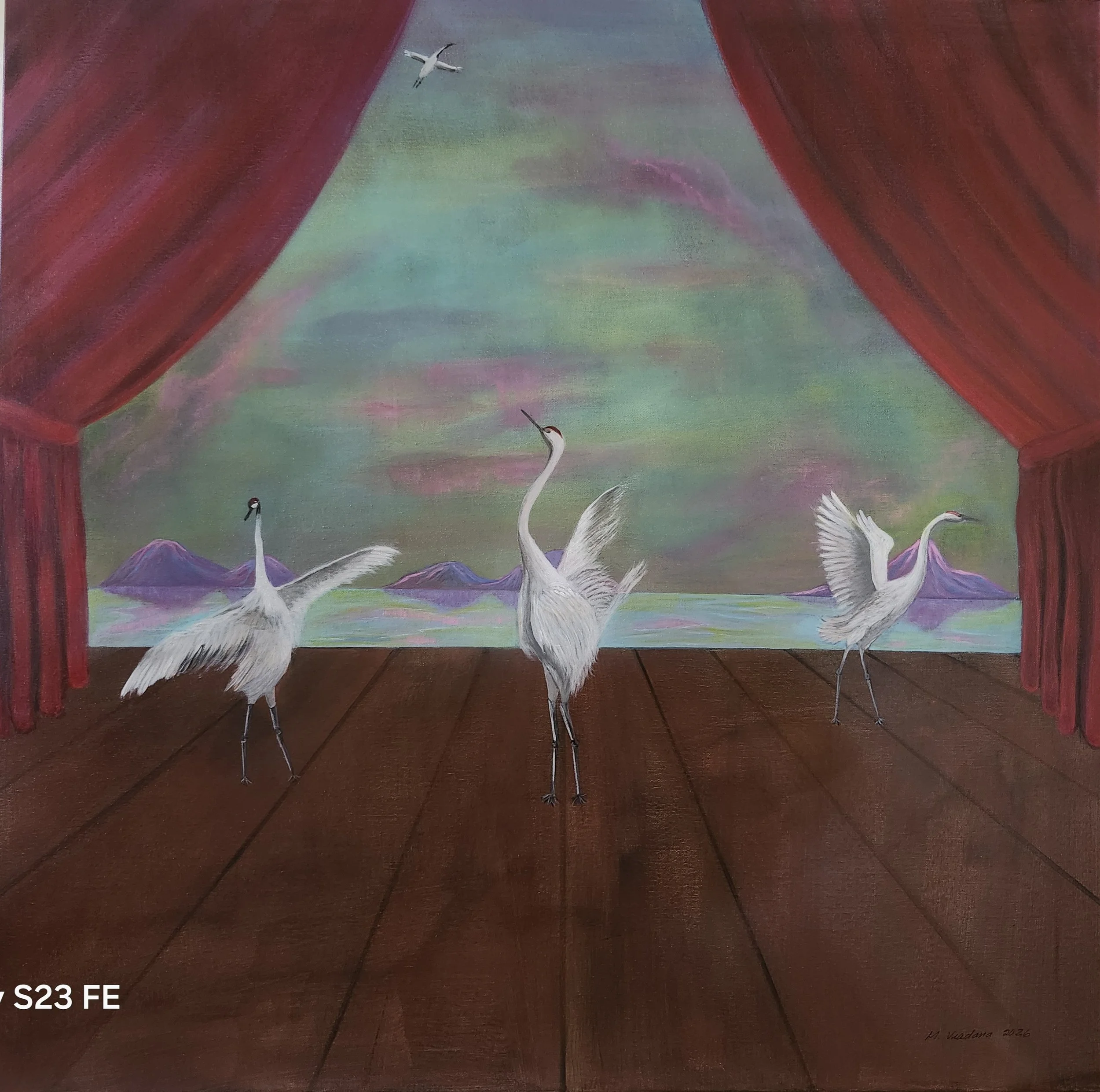 When White Cranes Dreams
