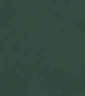 Solid dark green background
