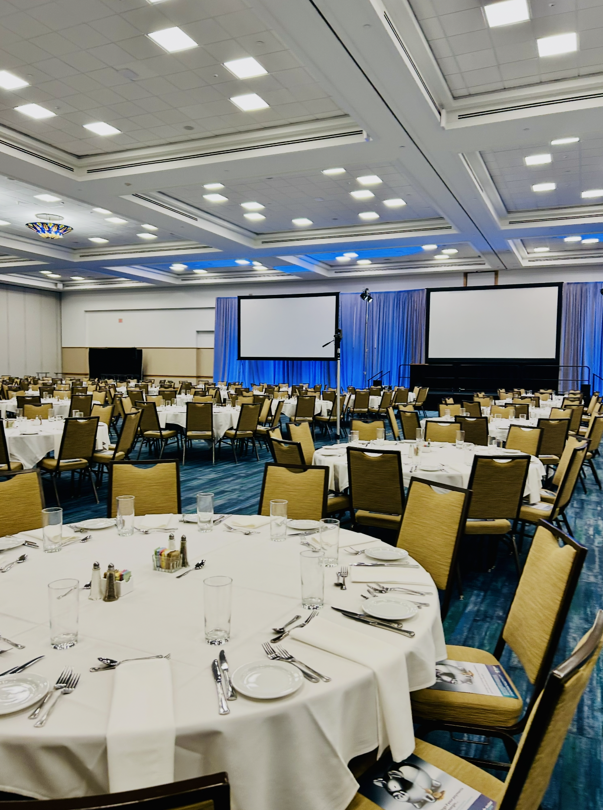 Banquet hall set up for a conference with round tables, white tablecloths, and chairs. There are two large screens at the front and blue curtains as a background.