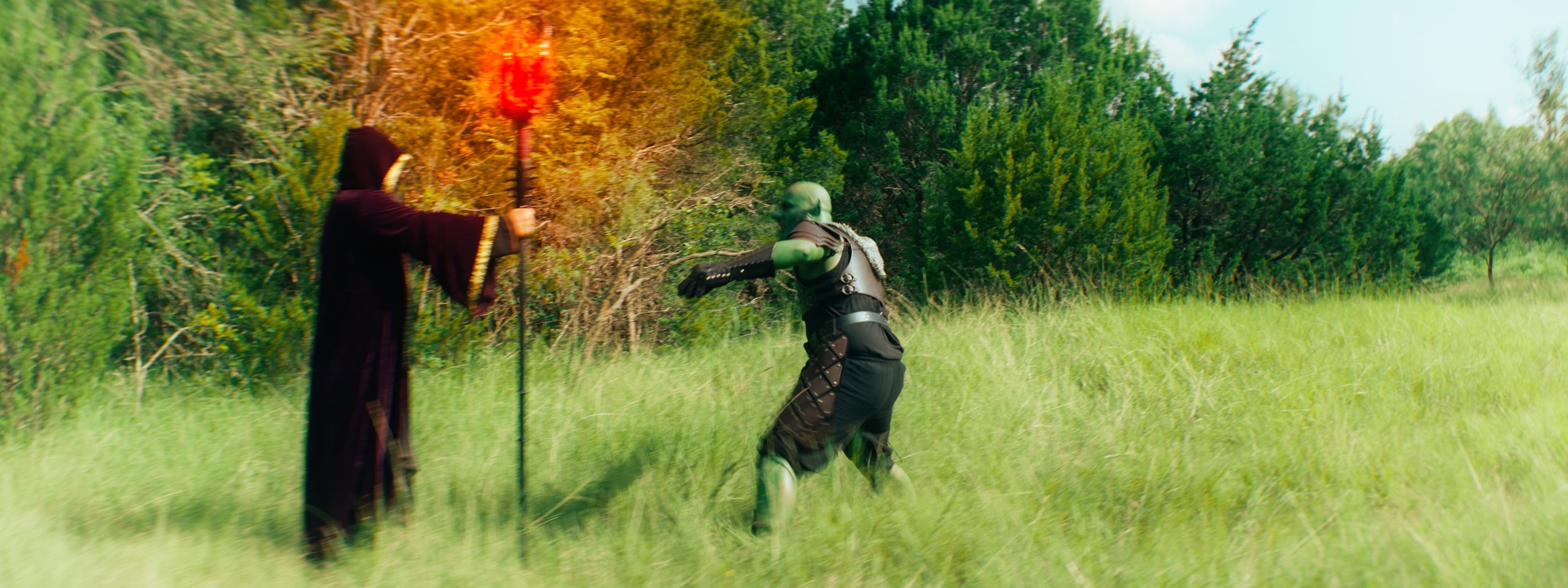 Wizard 40c.jpg