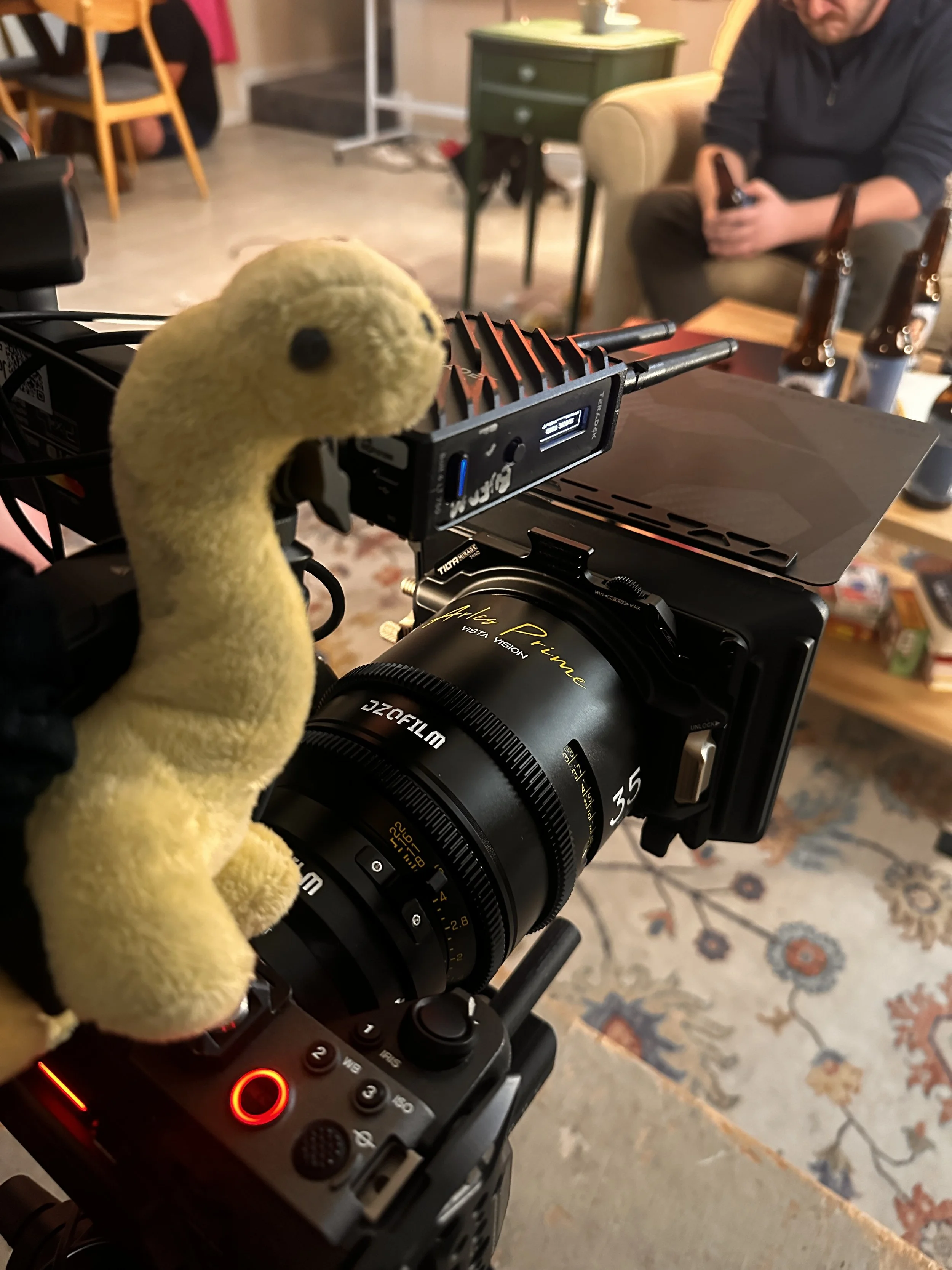 Close-up of a professional camera and audio equipment on a tripod, with a plush yellow toy duck attached, in a room with a patterned rug, a person sitting on a beige sofa in the background, and other furniture.