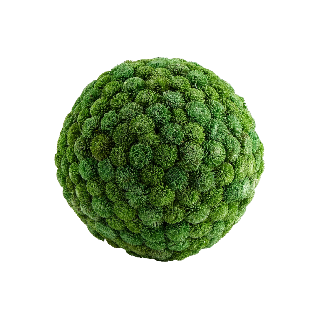 image-asset-9.webp