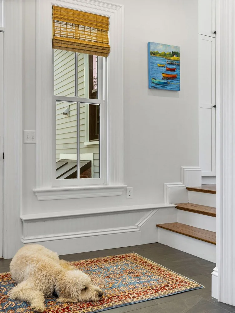 Fluffy dog lying on a colorful patterned rug in a bright hallway with a window, staircase, and boat painting