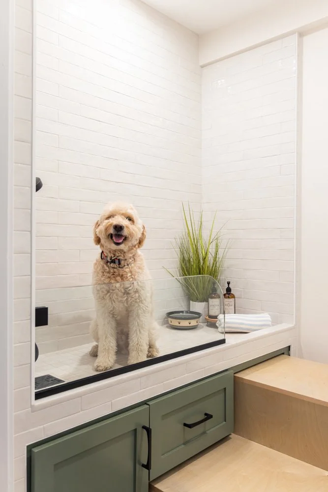 Curly-haired dog standing in a tiled shower beside a potted plant, pet bowls, and grooming supplies.