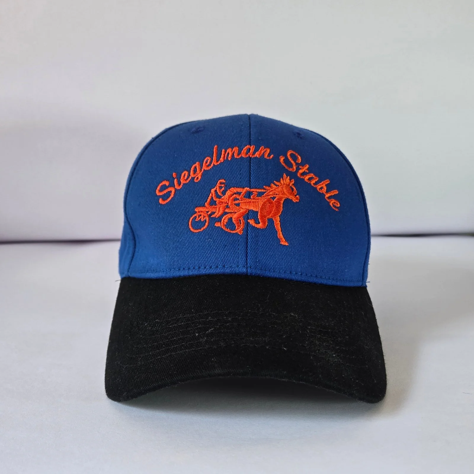 Siegelman Stable Knicks Championship (Knockoff)