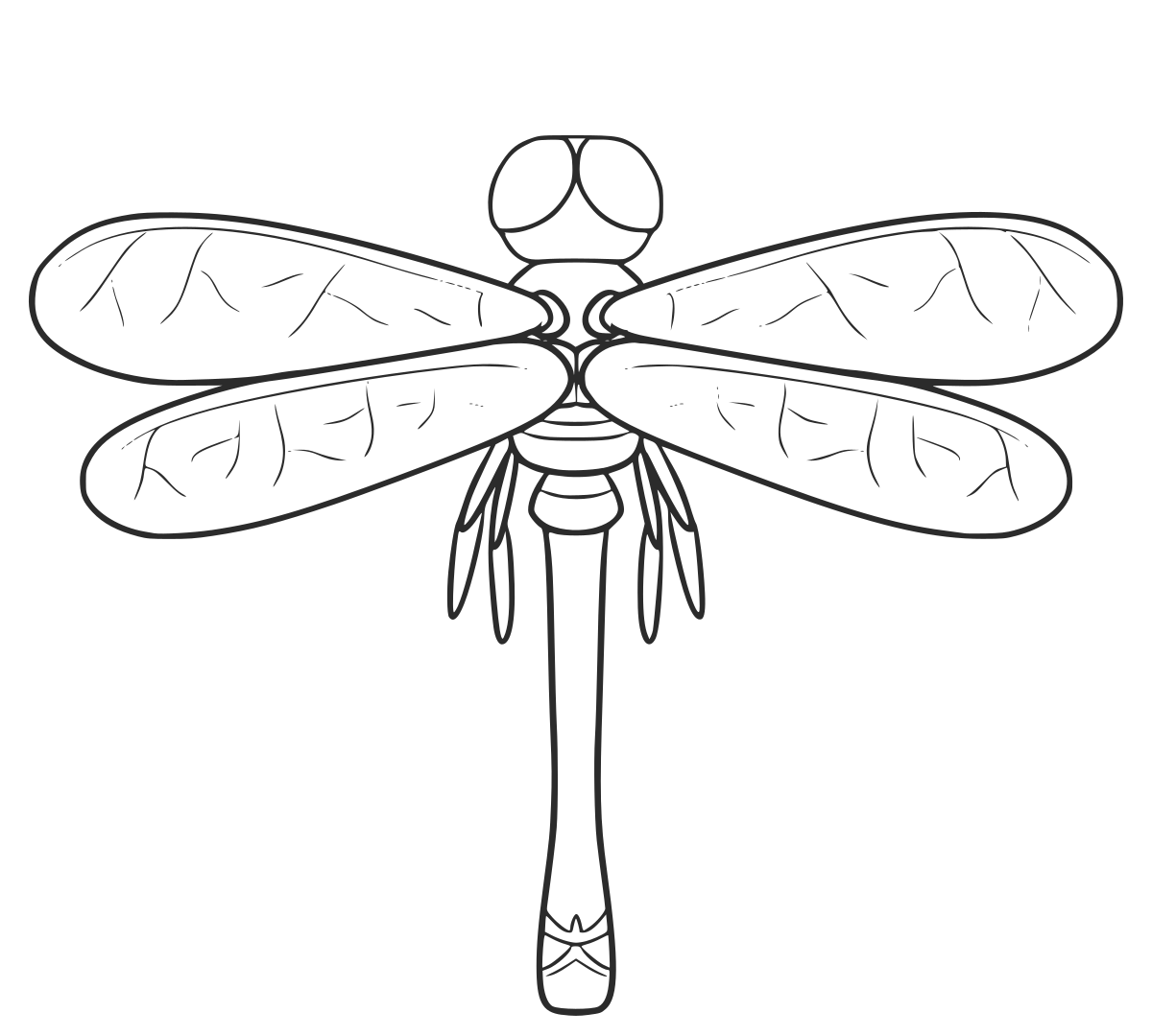 Thin black outline of a dragonfly with wings spread
