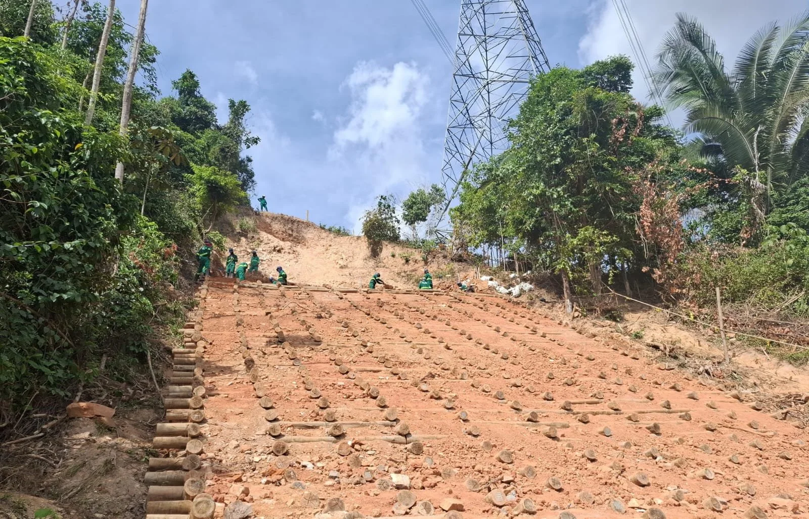 Plantio e Limpeza de áreas Verdes