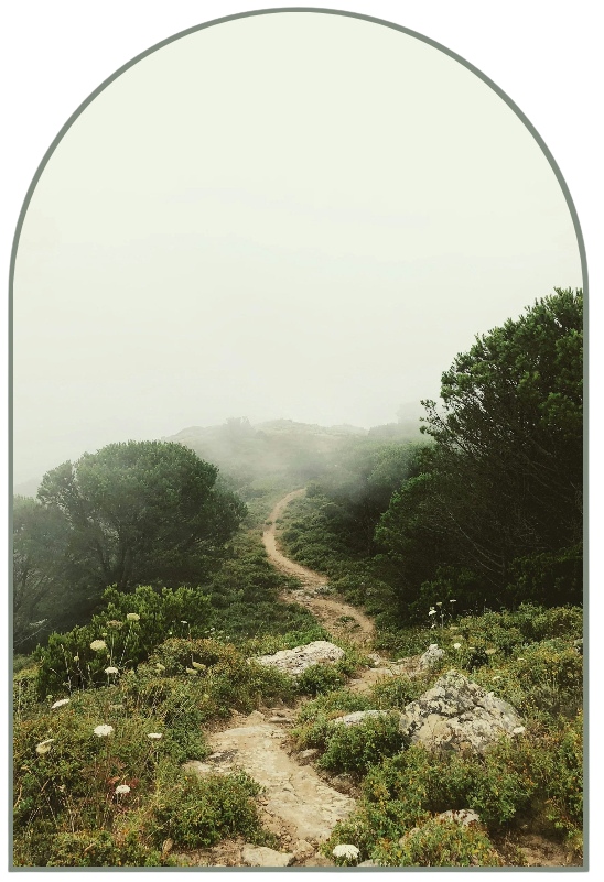 A winding path in a meadow with a few trees, ending in a misty area. A symbol for starting a new path toward treatment by contacting Matthew Lessack, LCPC, LMHC today.