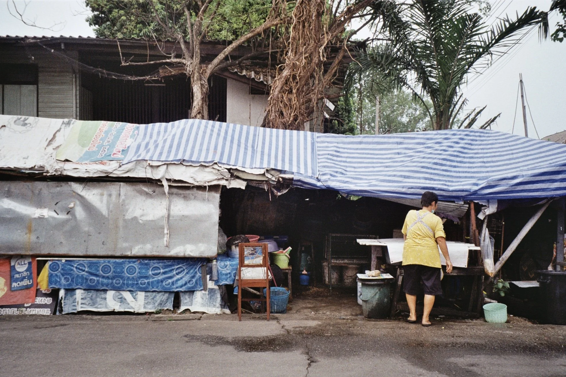A street scene showing a makeshift market stall with a tarp roof, a woman in a yellow shirt walking away, and a backing of trees and a building, in a neighborhood.