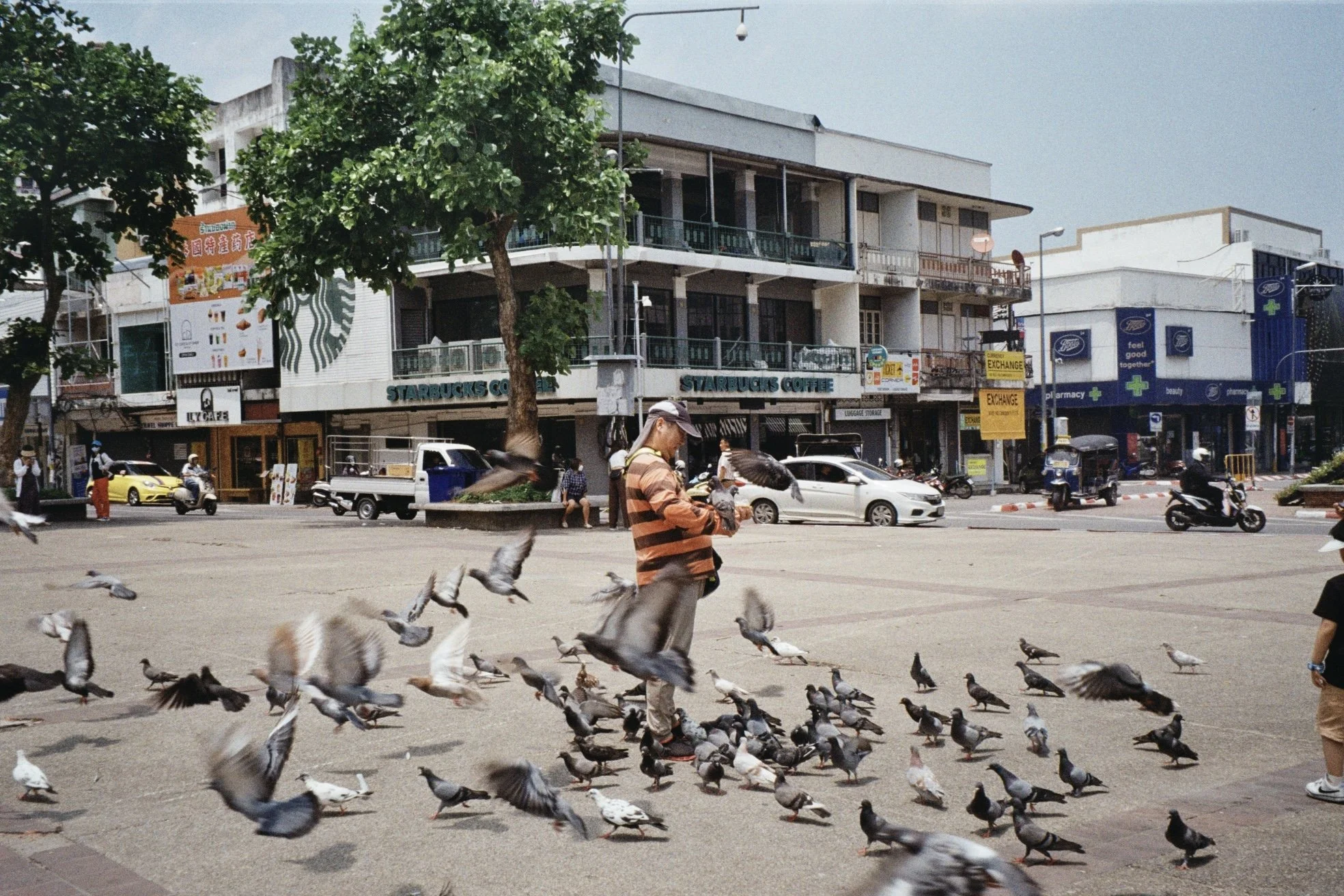 A busy urban street scene with a man feeding pigeons in an open area, cars and motorcycles on the road, and buildings including a Starbucks coffee shop, a pharmacy, and various storefronts in the background.