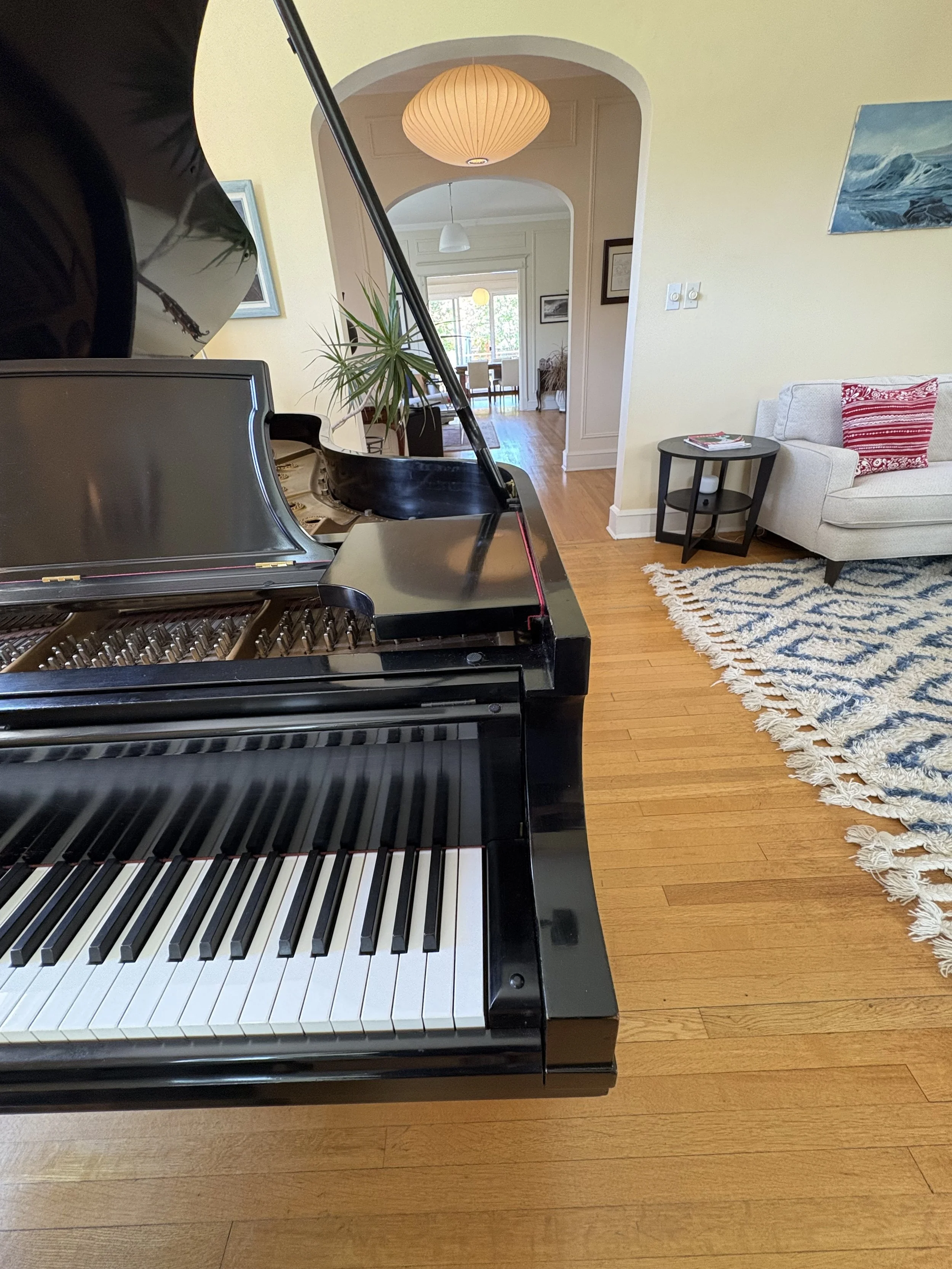 piano view to dining portrait 2.jpg