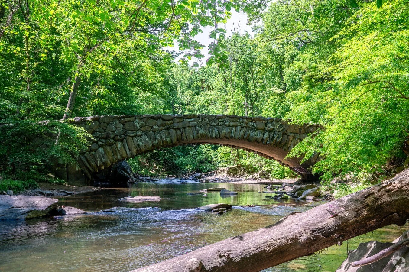 rock creek park.jpg