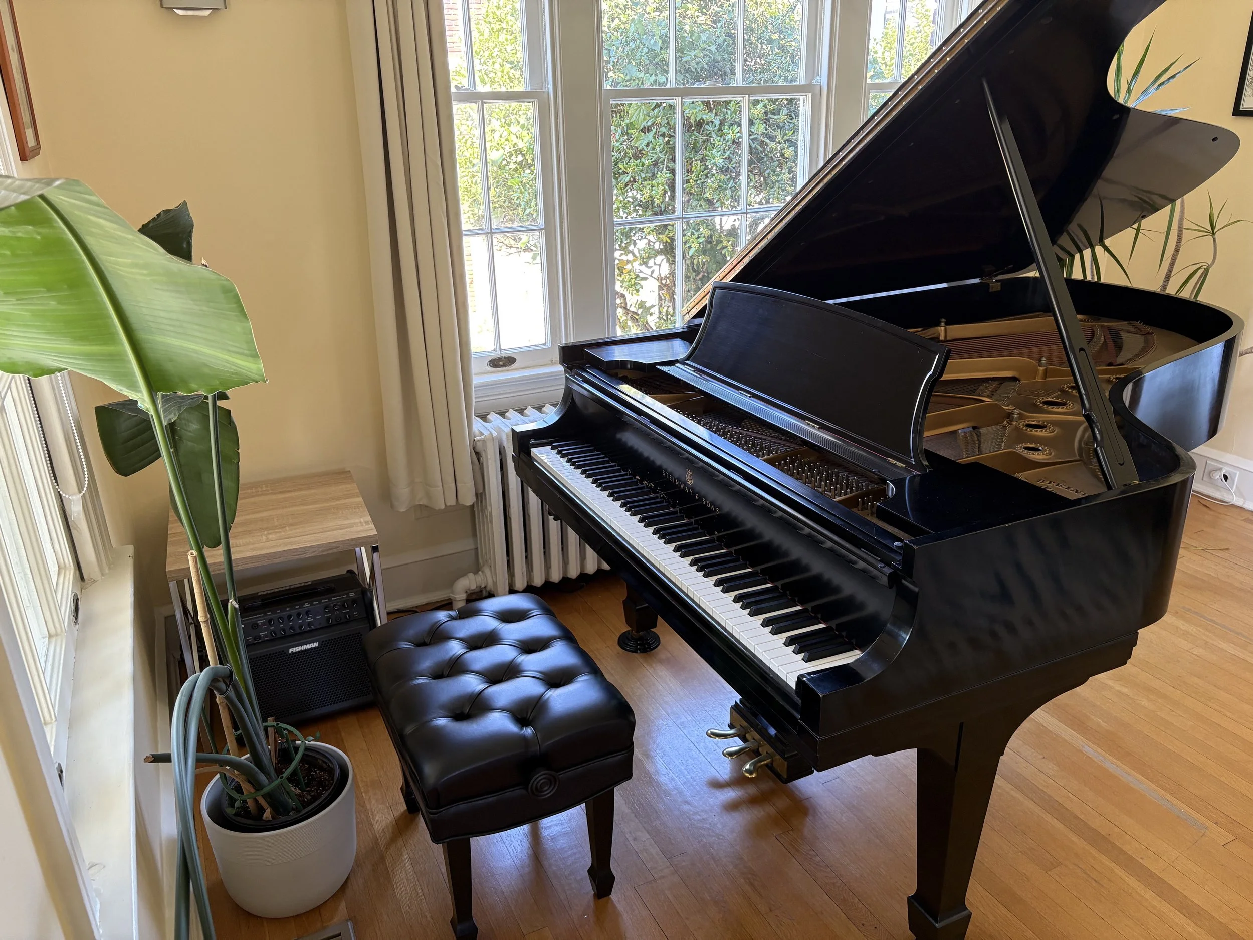 Piano and plant.jpg