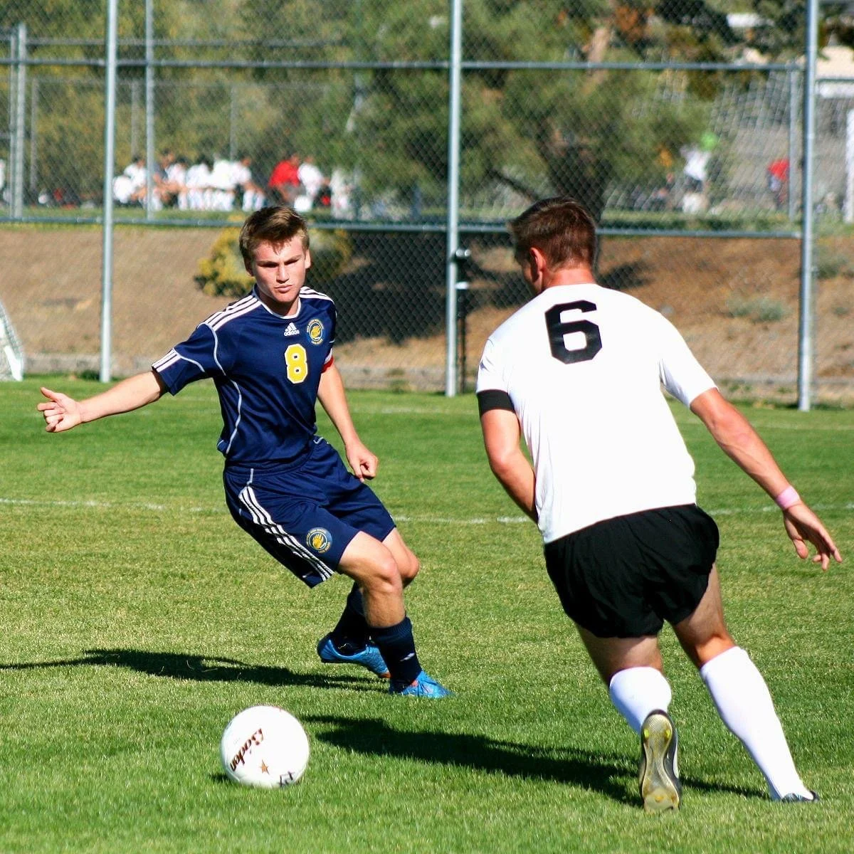 Two young male soccer players in action on a grassy field, one wearing a navy blue uniform with the number 8 and the other in a white uniform with the number 6, with a soccer ball nearby.
