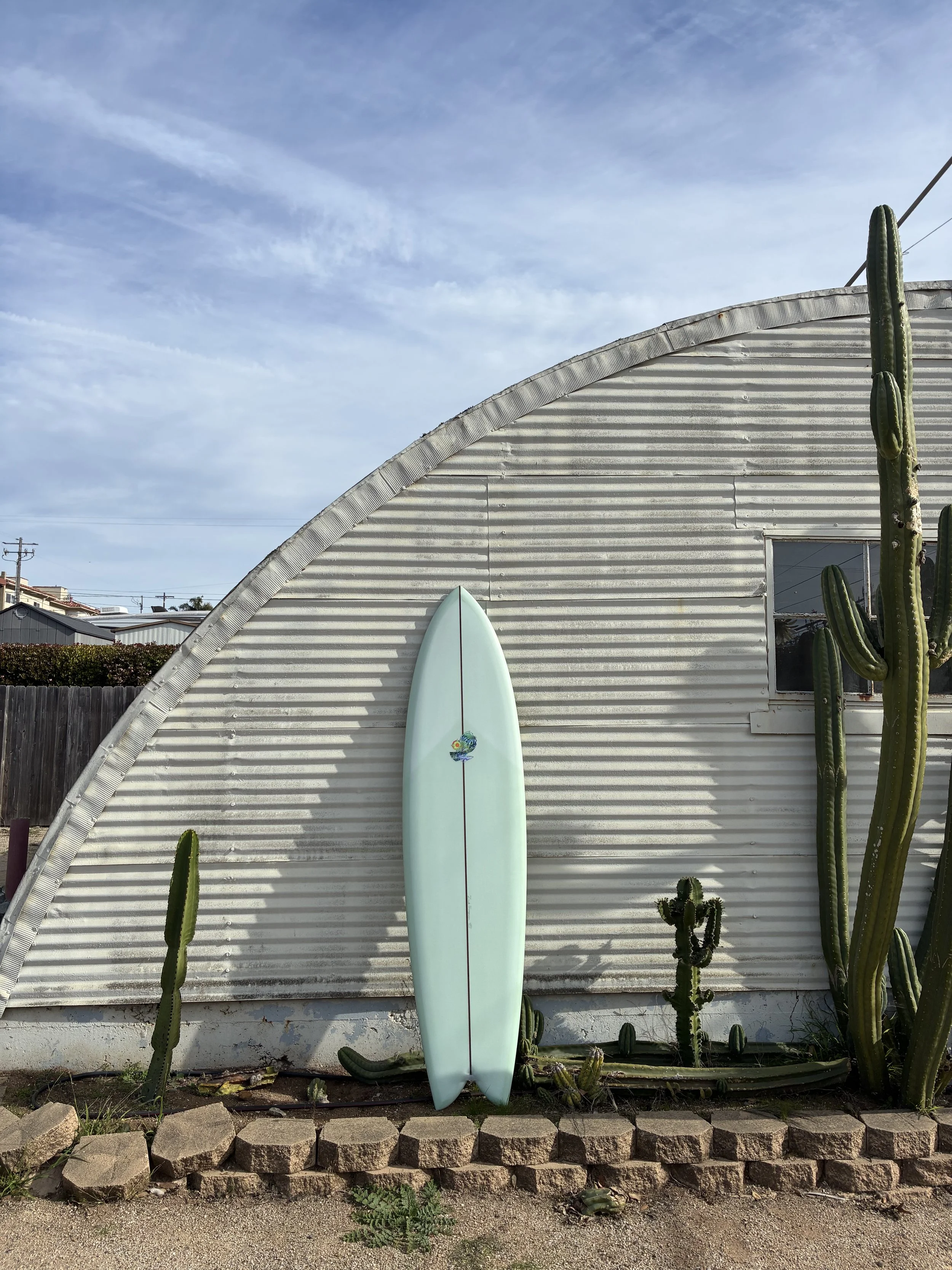 A surfboard leaning against a corrugated metal building with tall cacti growing alongside it. The sky is clear with some thin clouds, and there are houses visible in the distance.