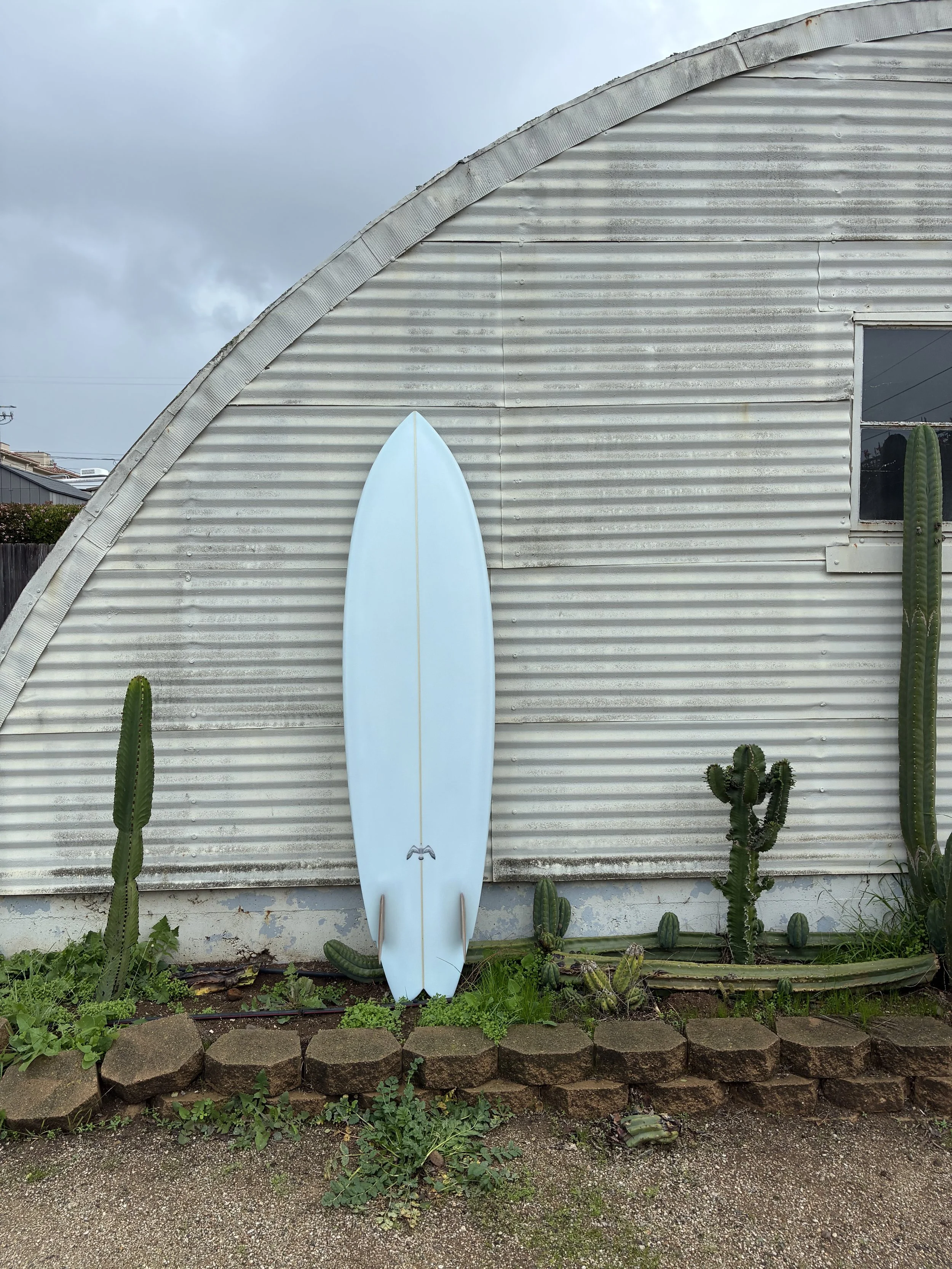 A light blue surfboard leaning against a weathered, corrugated metal building with vegetation and cacti at the base.
