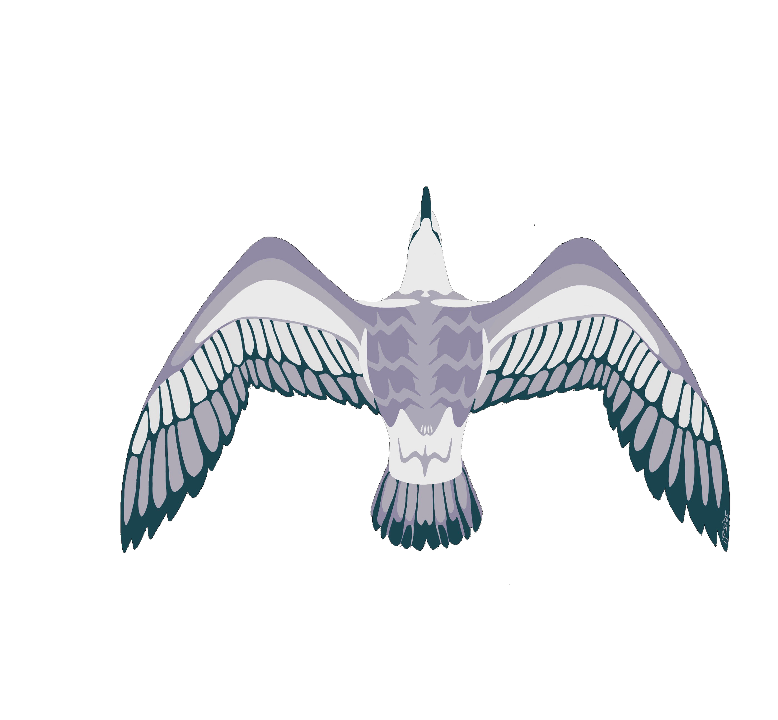 An abstract illustration of an owl with detailed feathers, blue and gray color tones, and a black background.