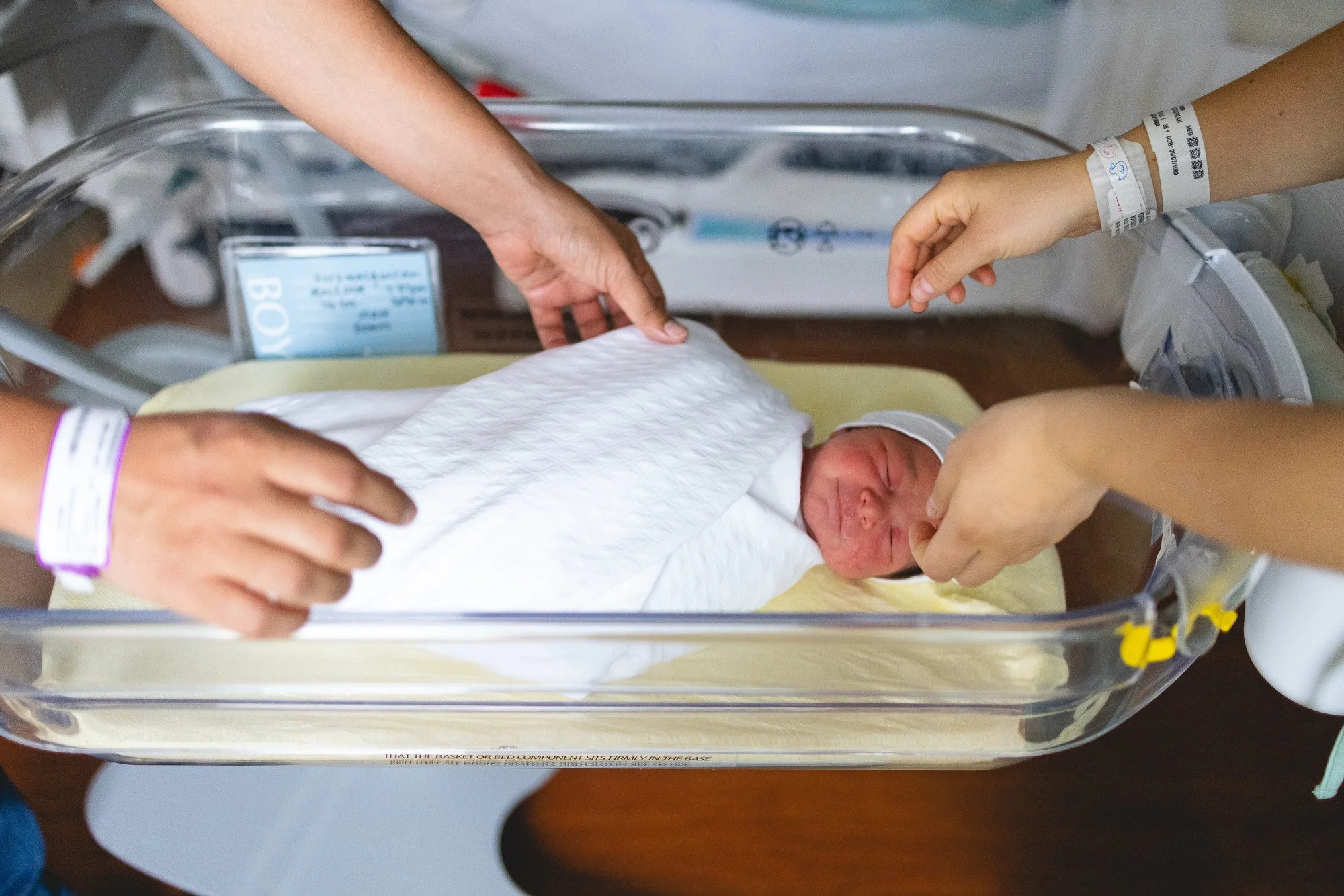 Newborn
